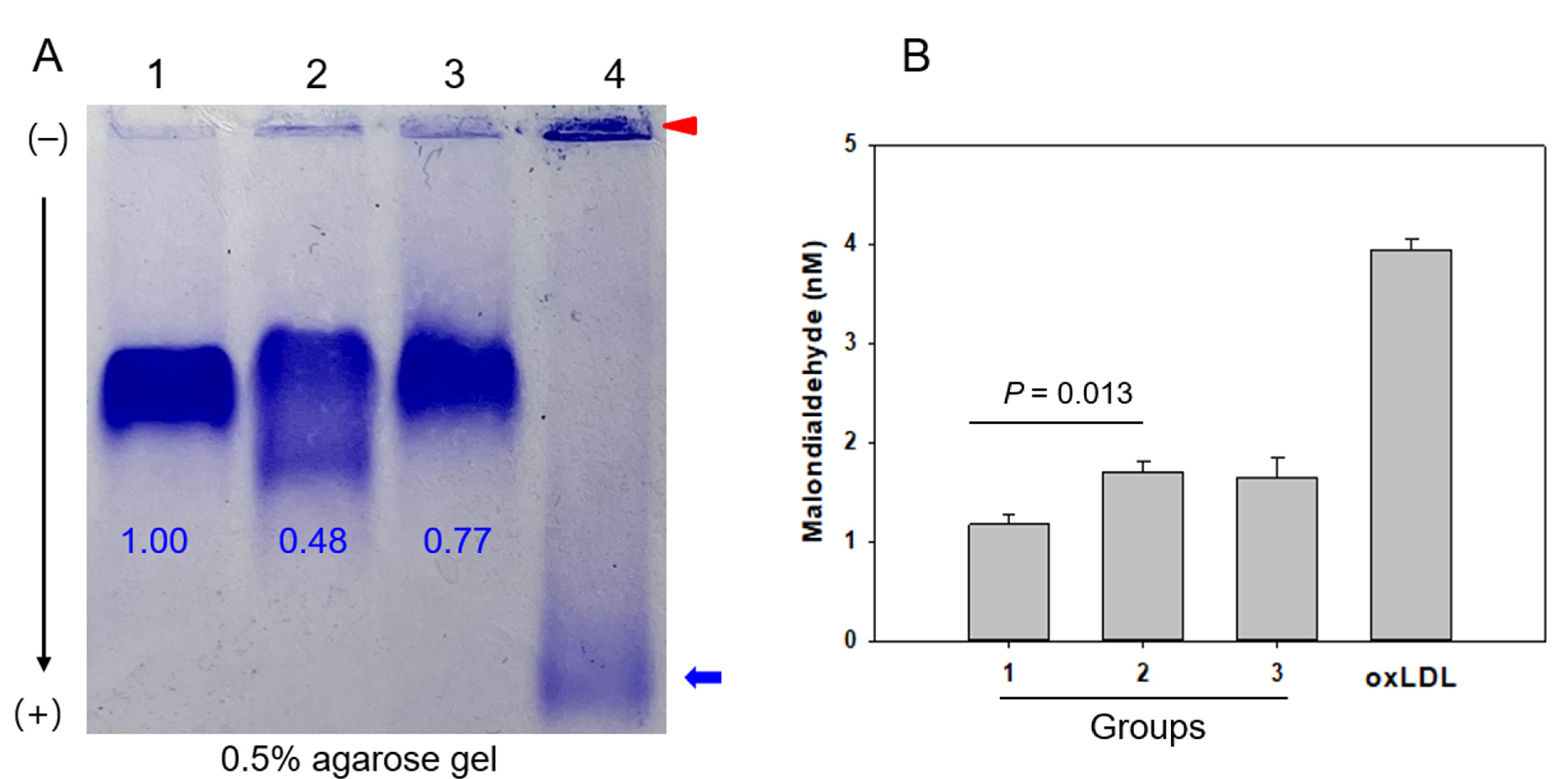 Ijms 23 08623 g001 550