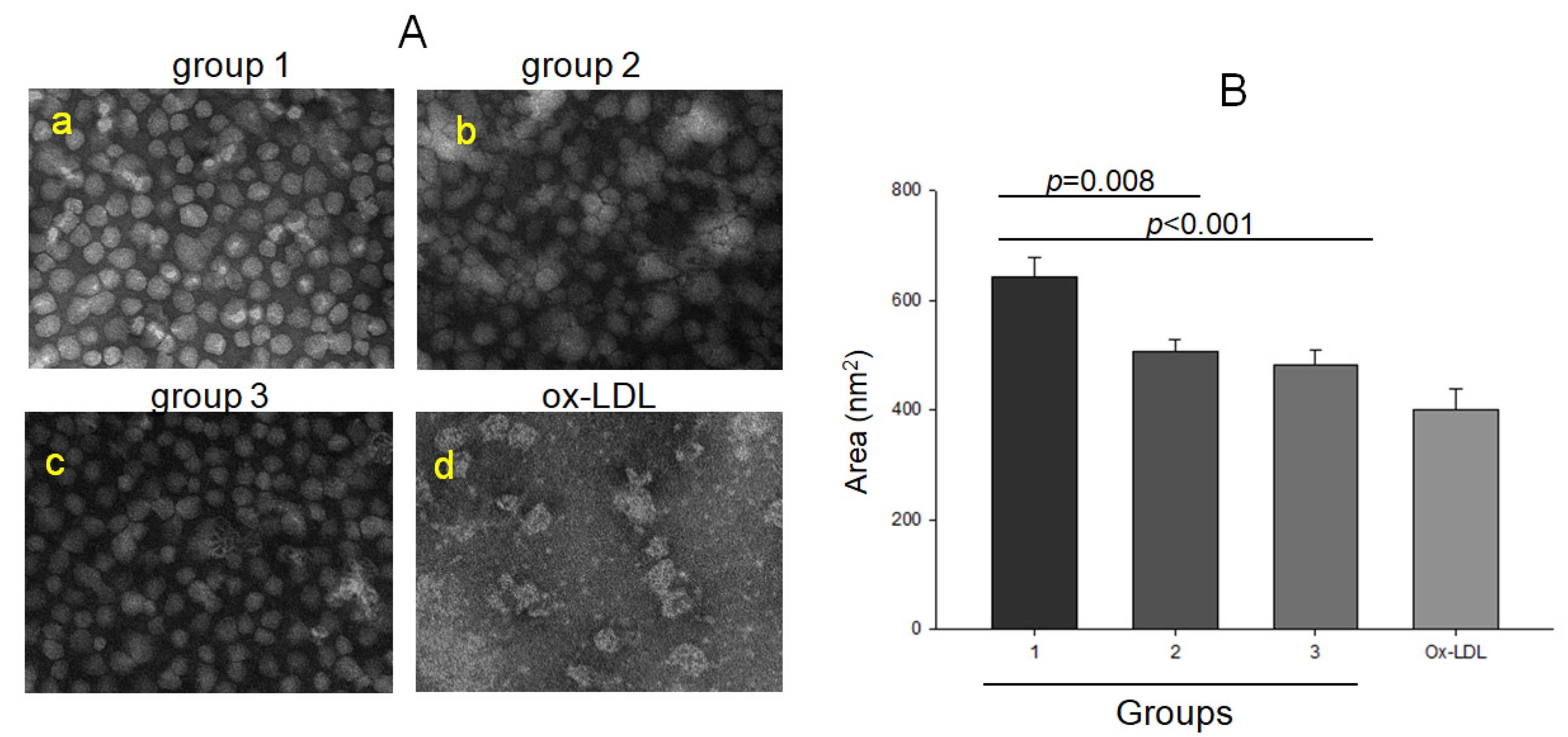Ijms 23 08623 g002 550