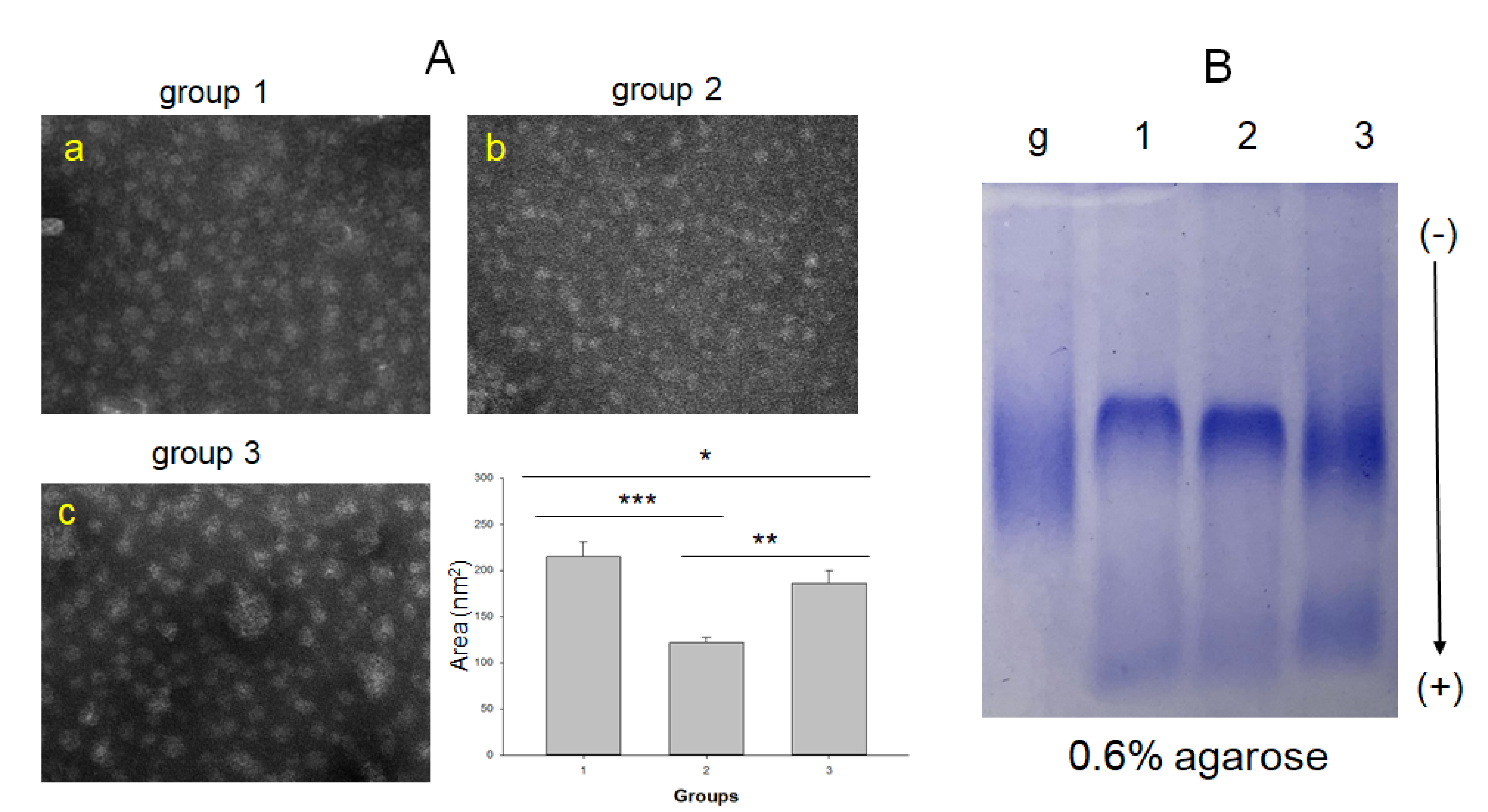 Ijms 23 08623 g003 550