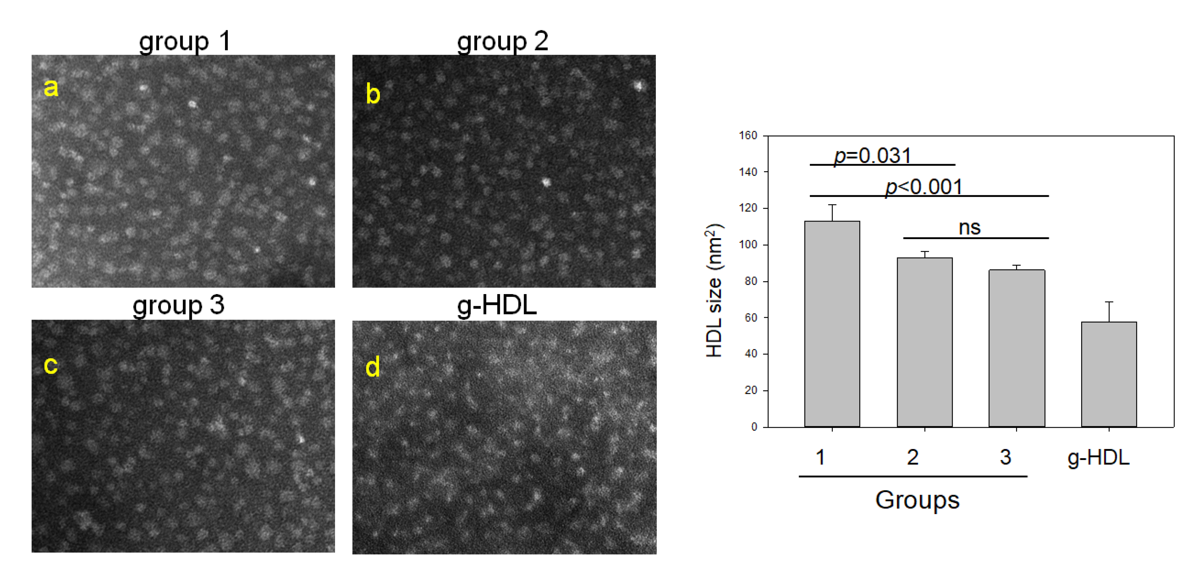 Ijms 23 08623 g005 550