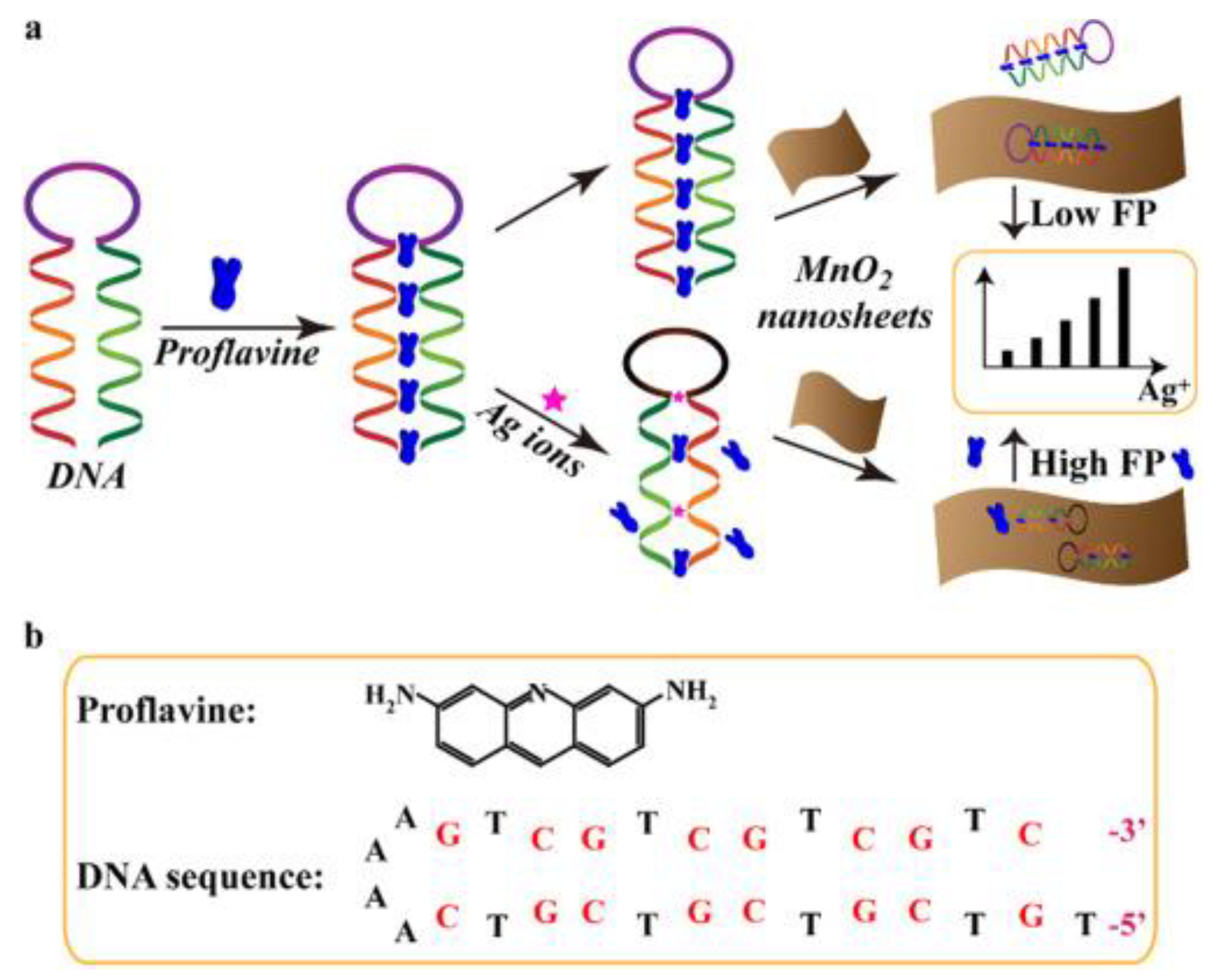 Ijms 23 08625 g010 550