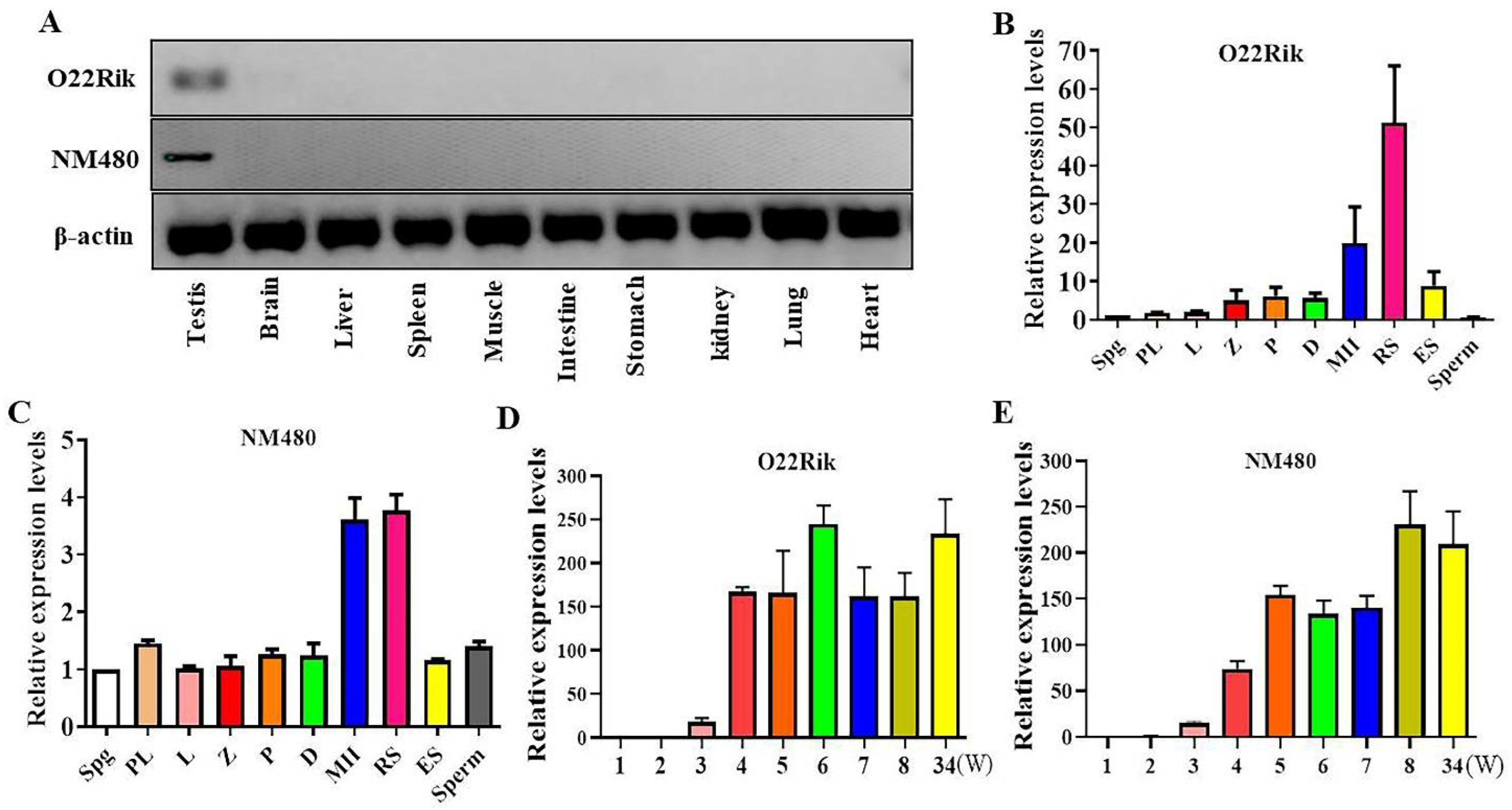 Ijms 23 08627 g001 550