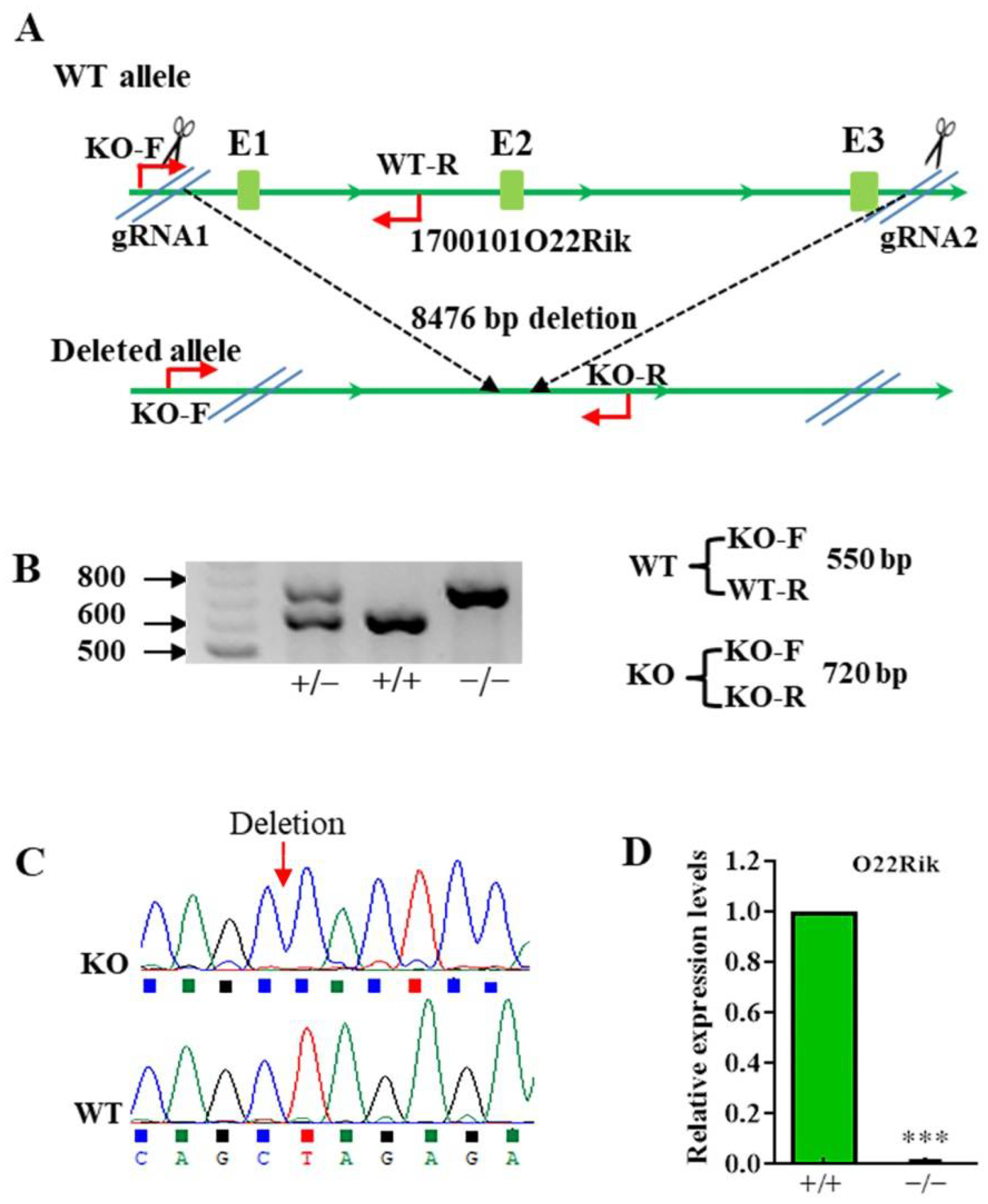 Ijms 23 08627 g002 550