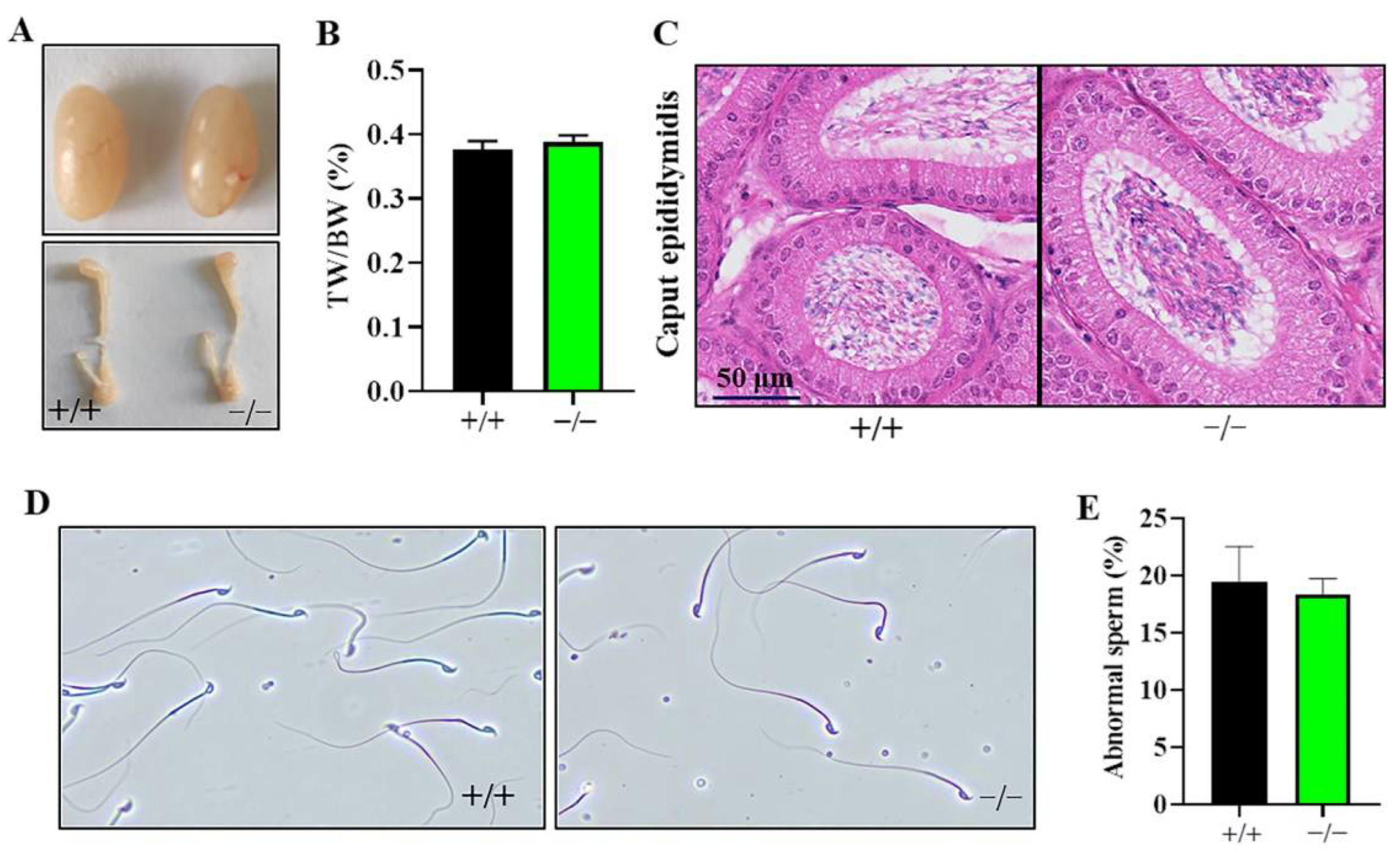 Ijms 23 08627 g003 550