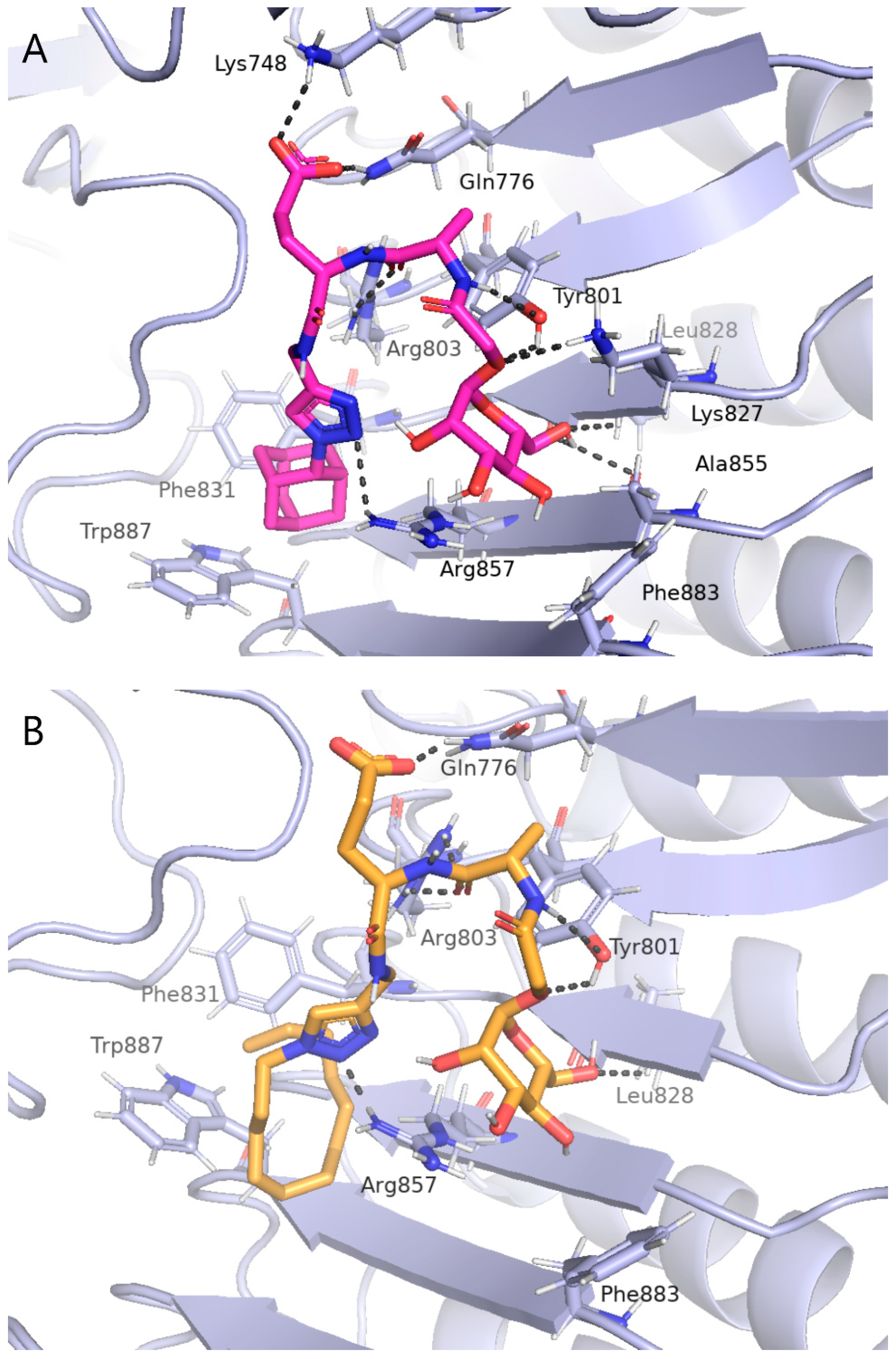 Ijms 23 08628 g004a 550