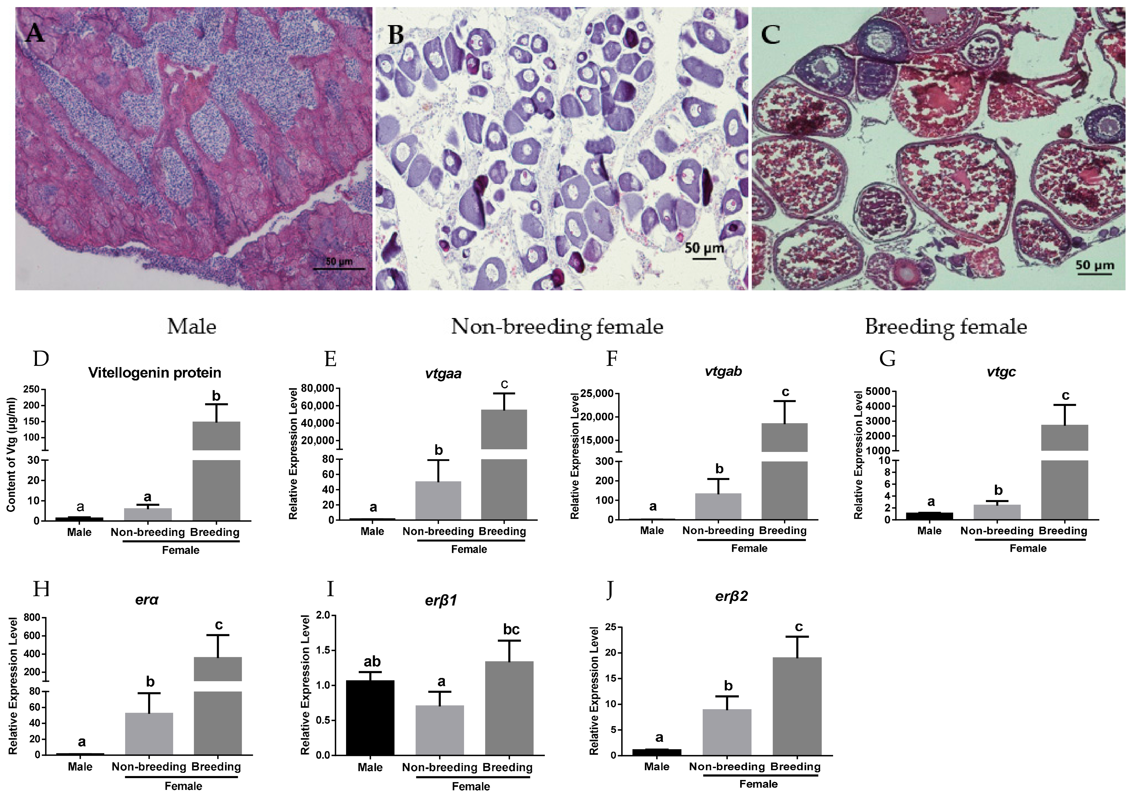 Ijms 23 08632 g001 550