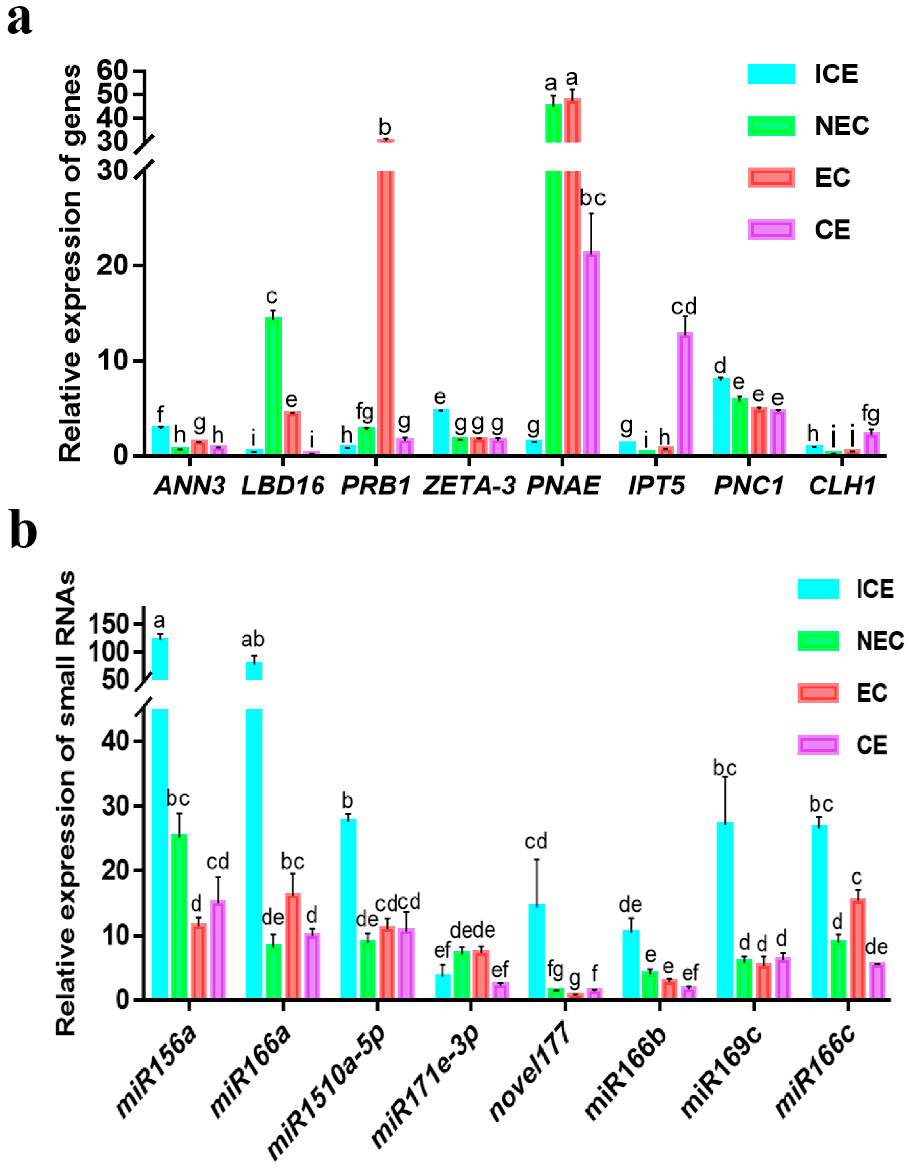 Ijms 23 08633 g010 550
