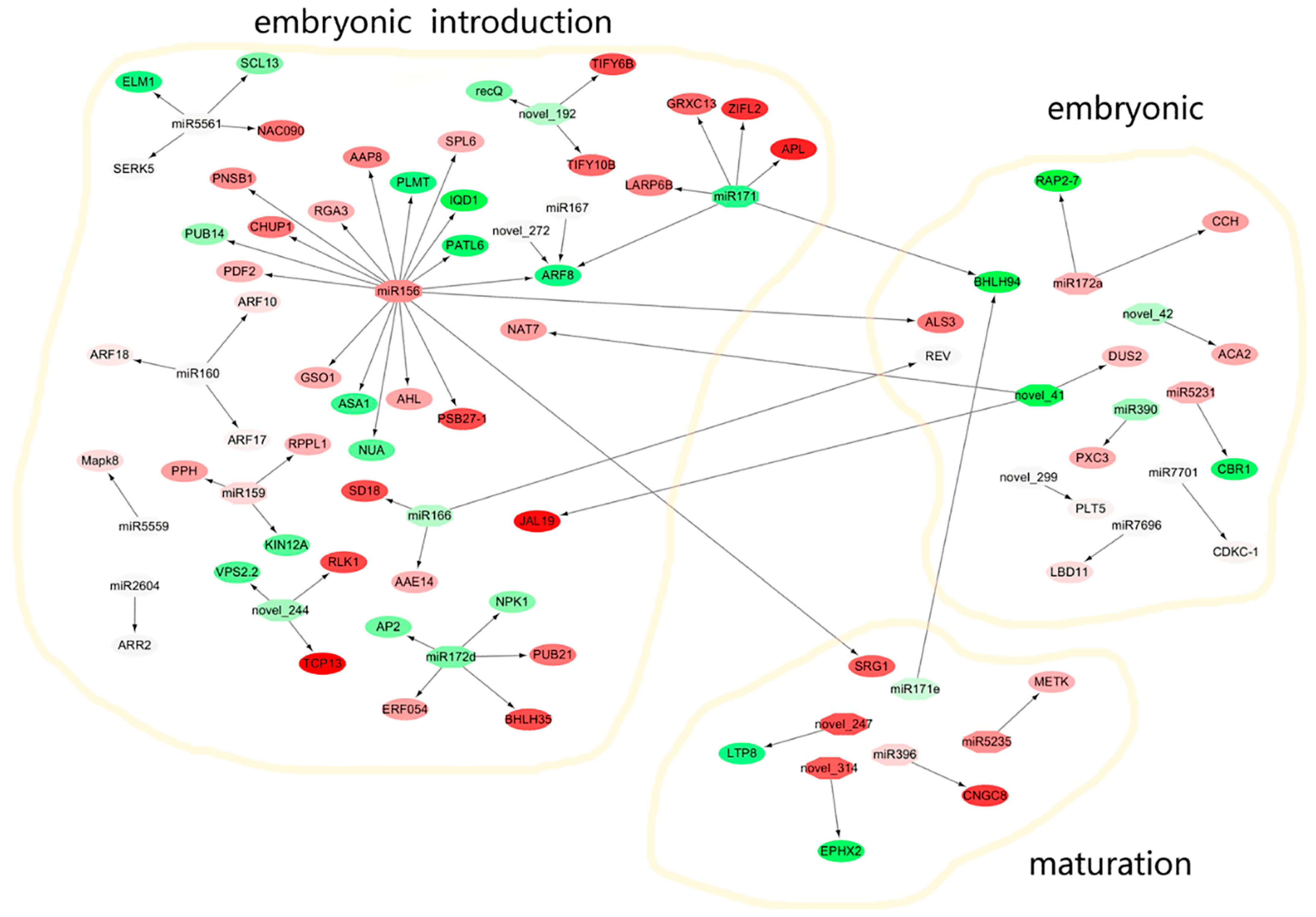 Ijms 23 08633 g011 550