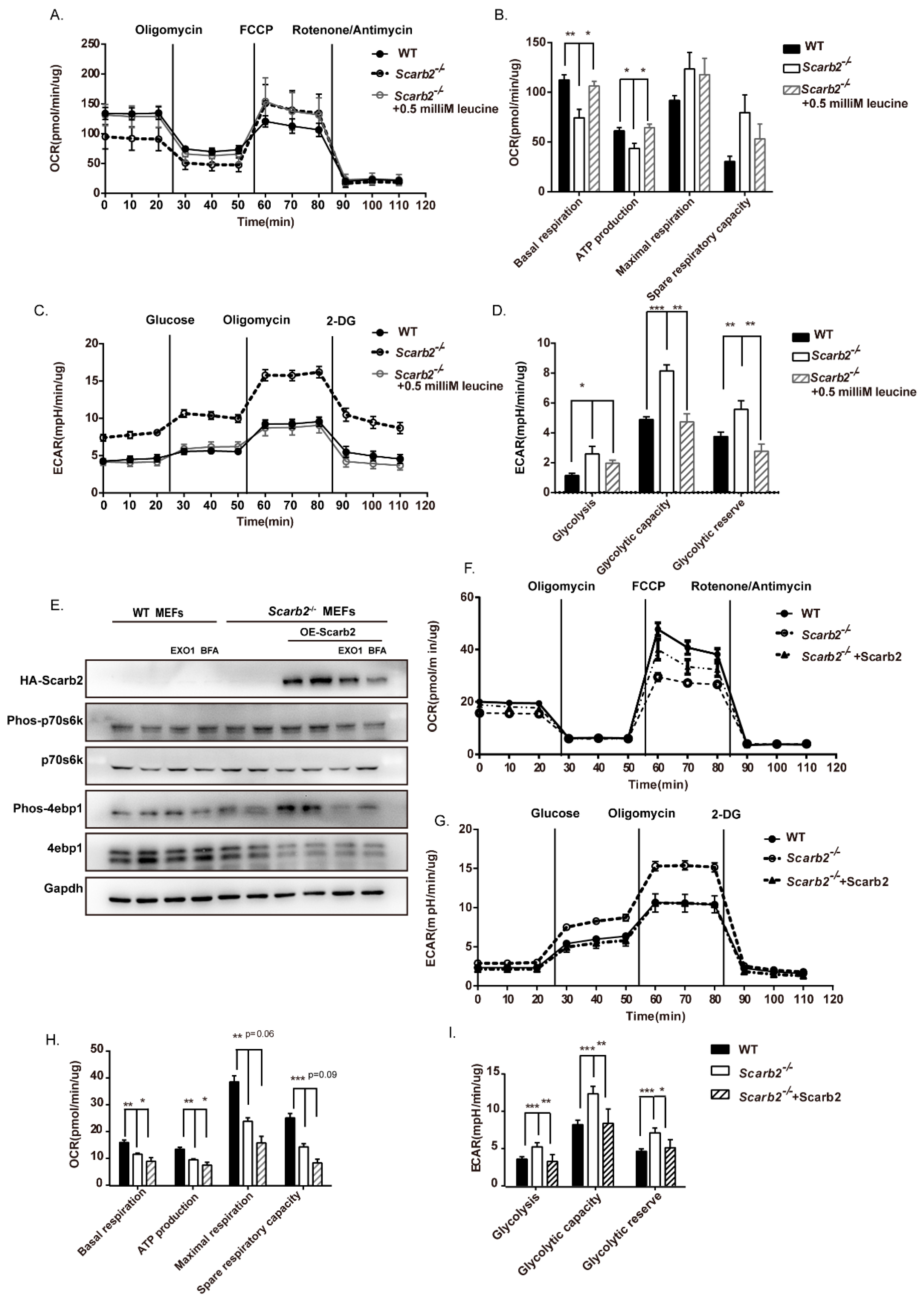 Ijms 23 08634 g007 550