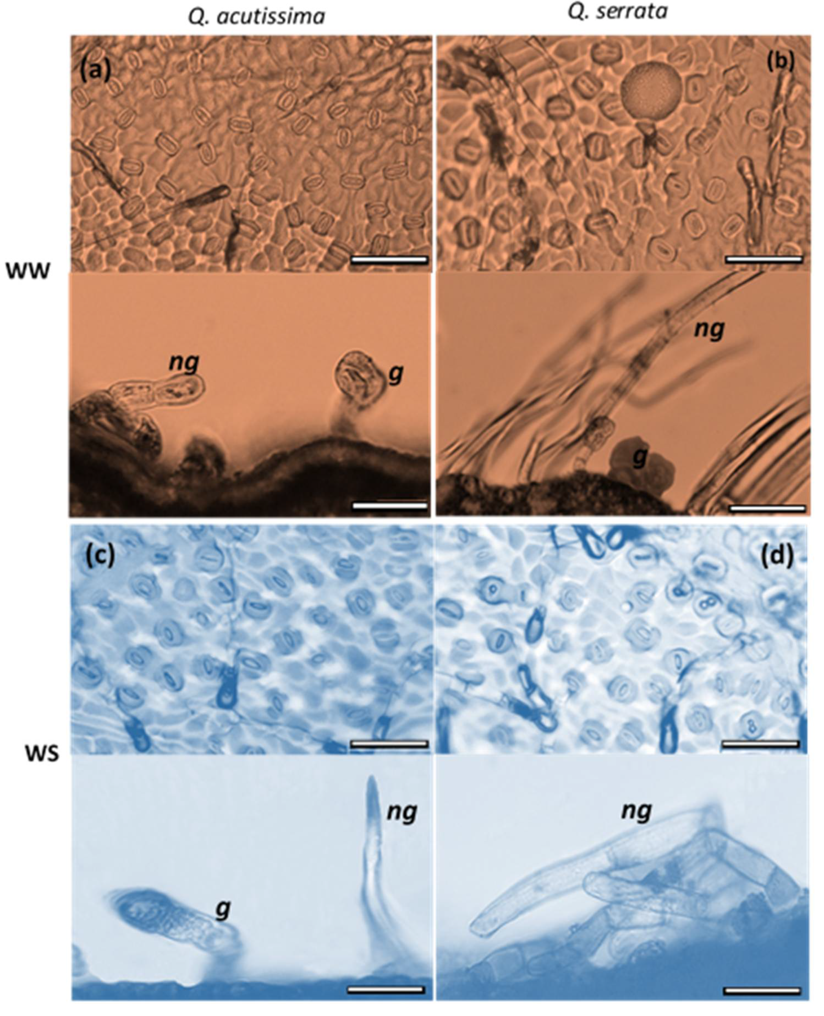 Ijms 23 08640 g003 Ijms 23 08640 g003