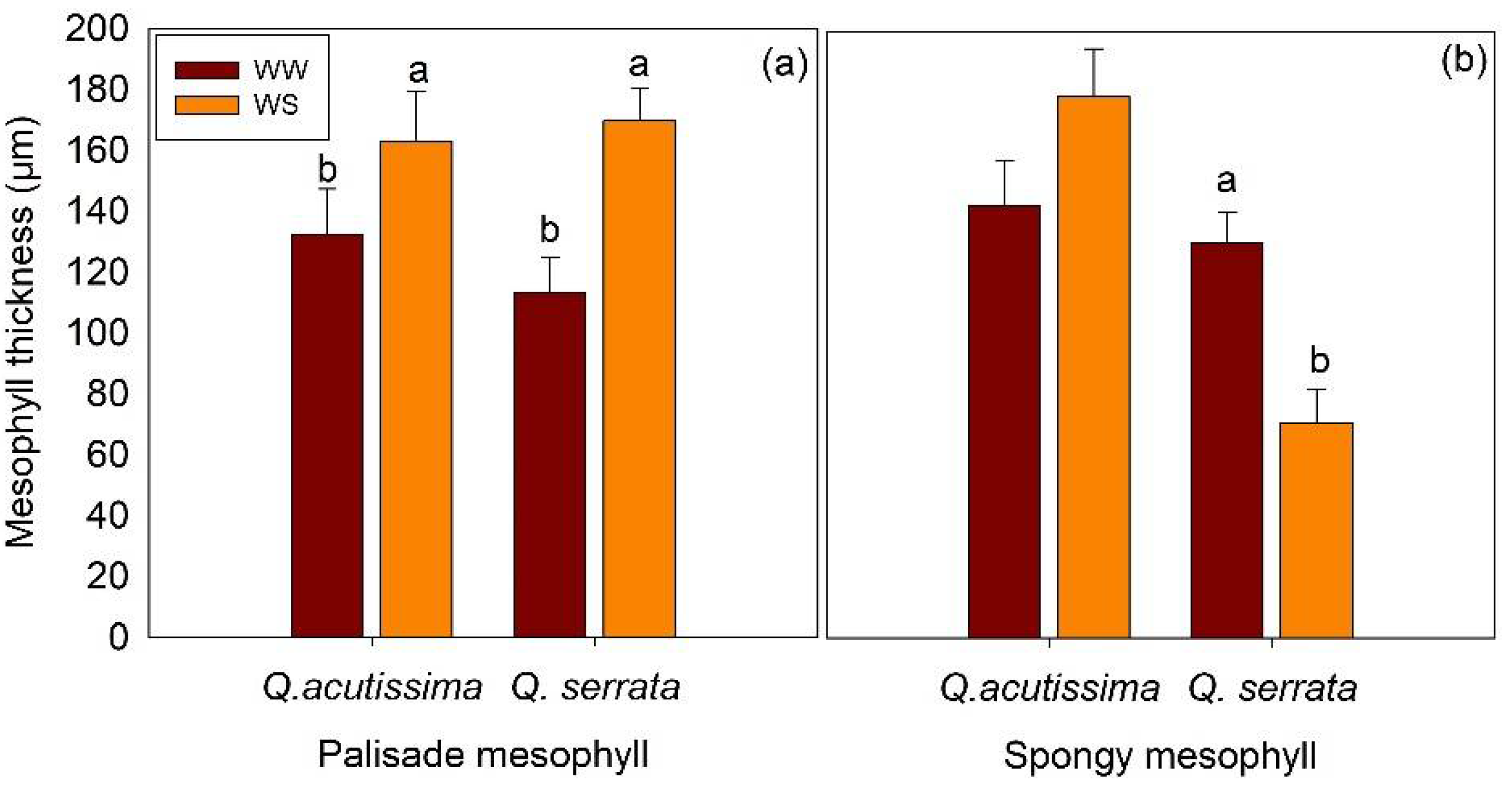 Ijms 23 08640 g004 Ijms 23 08640 g004