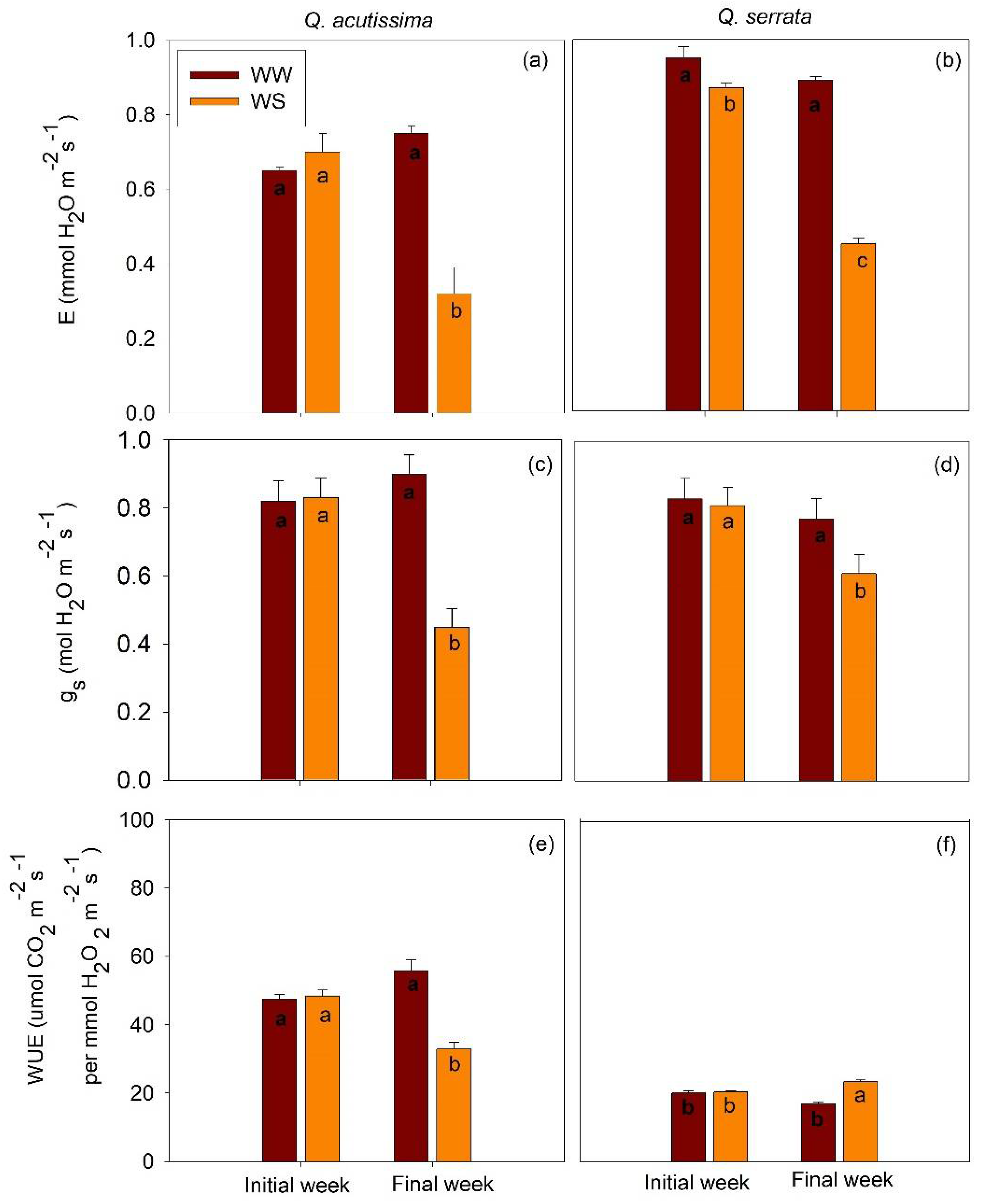 Ijms 23 08640 g007 Ijms 23 08640 g007