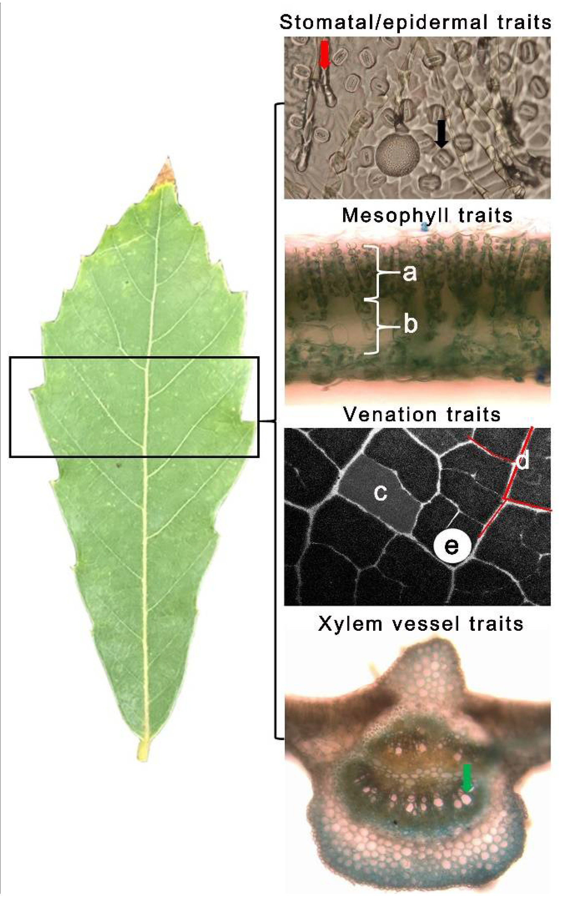 Ijms 23 08640 g011 Ijms 23 08640 g011