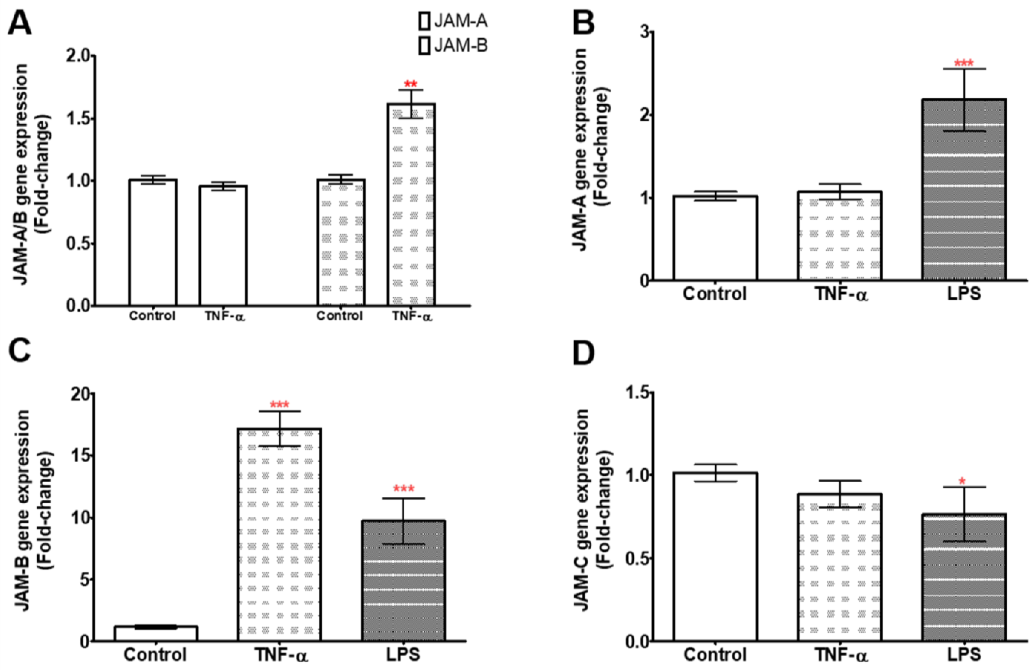 Ijms 23 08646 g002 Ijms 23 08646 g002