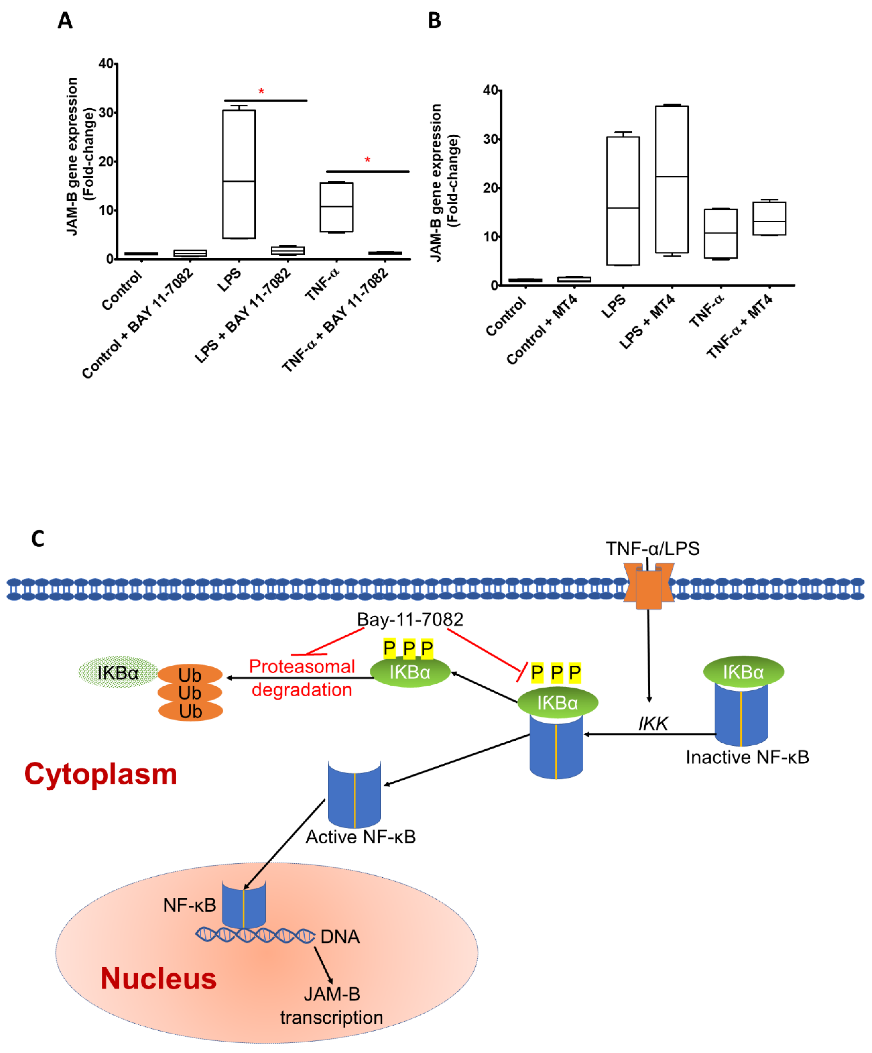 Ijms 23 08646 g004 Ijms 23 08646 g004