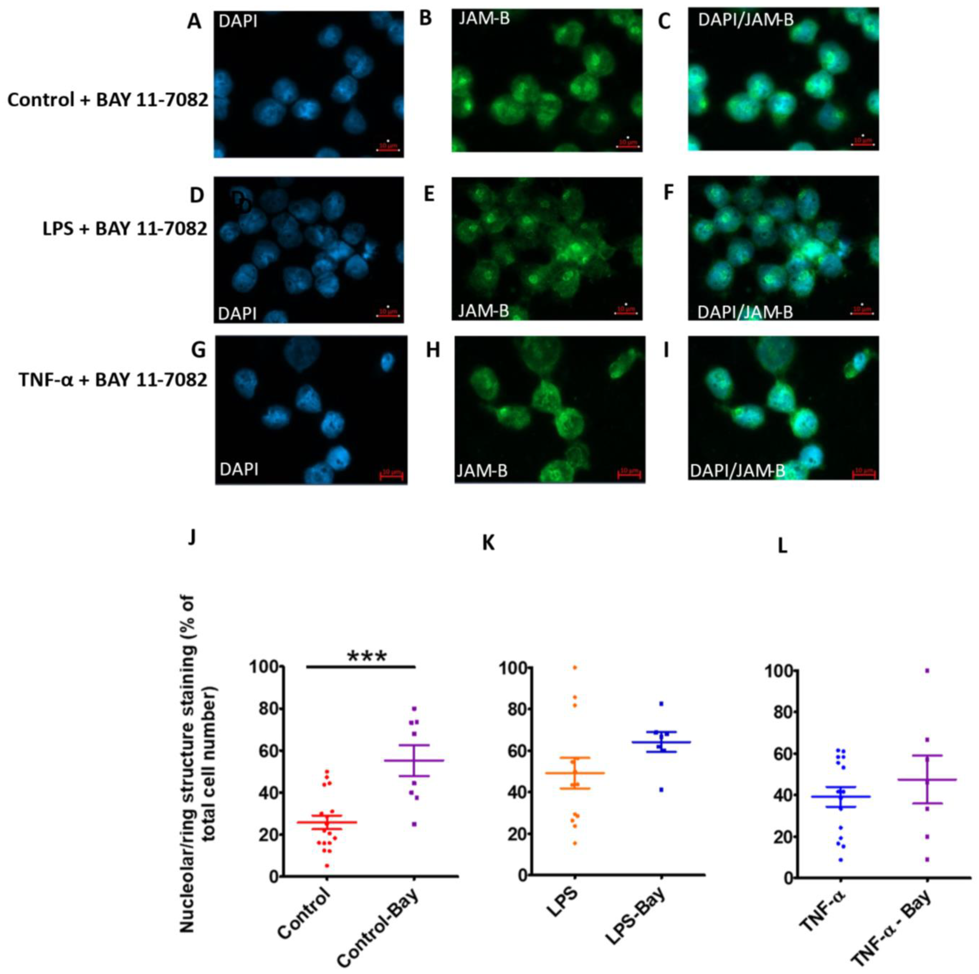 Ijms 23 08646 g008 Ijms 23 08646 g008