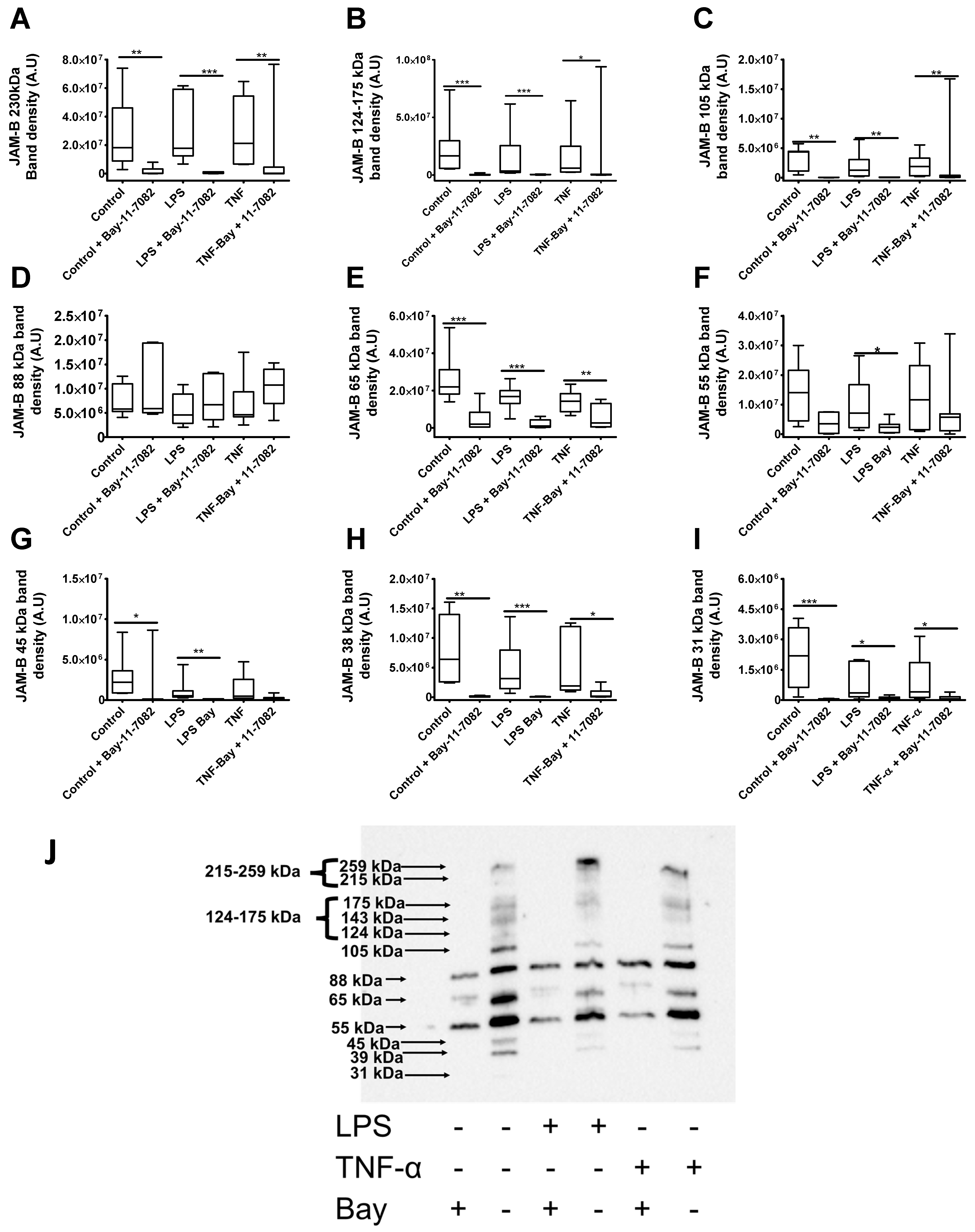 Ijms 23 08646 g011 Ijms 23 08646 g011