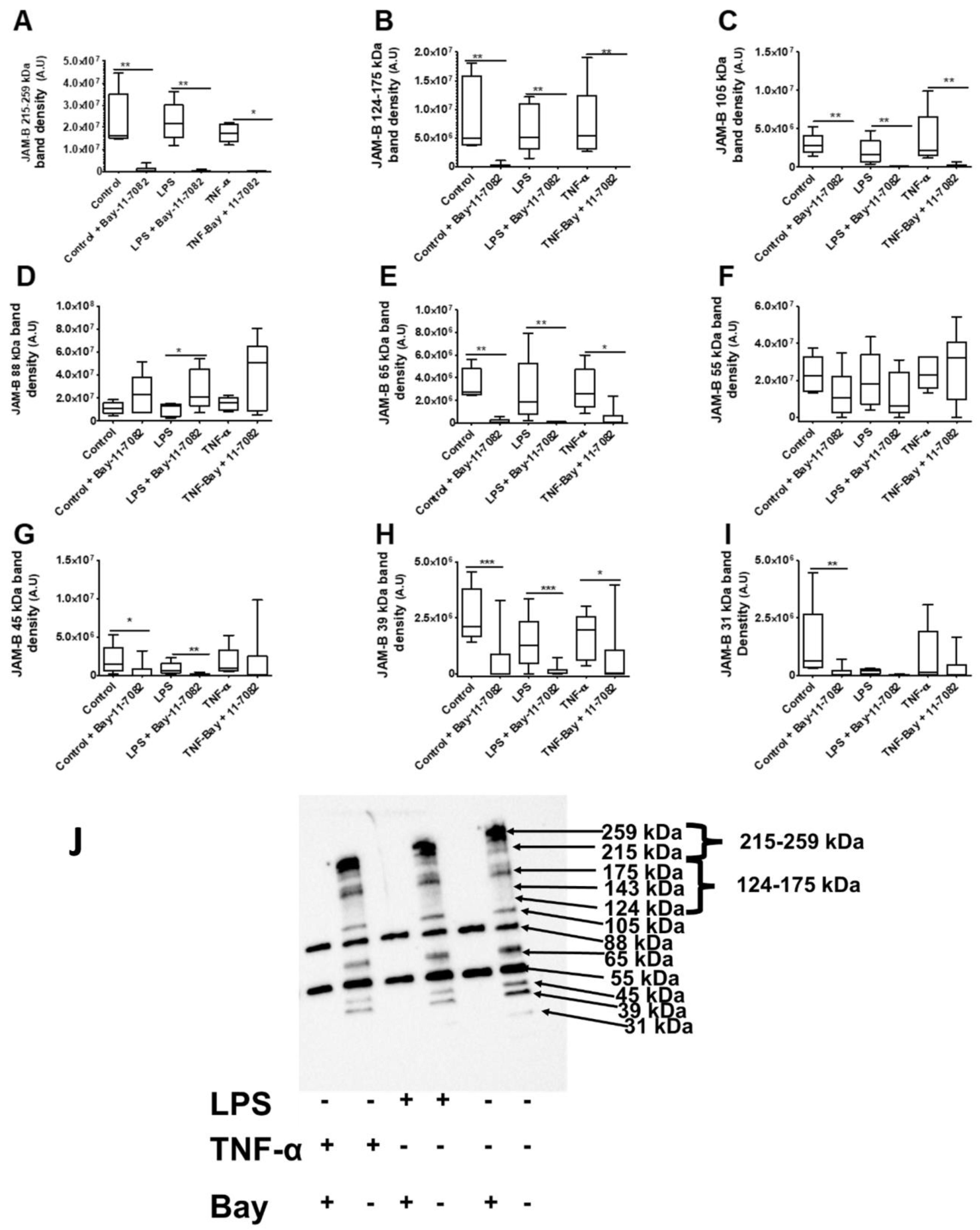 Ijms 23 08646 g012 Ijms 23 08646 g012