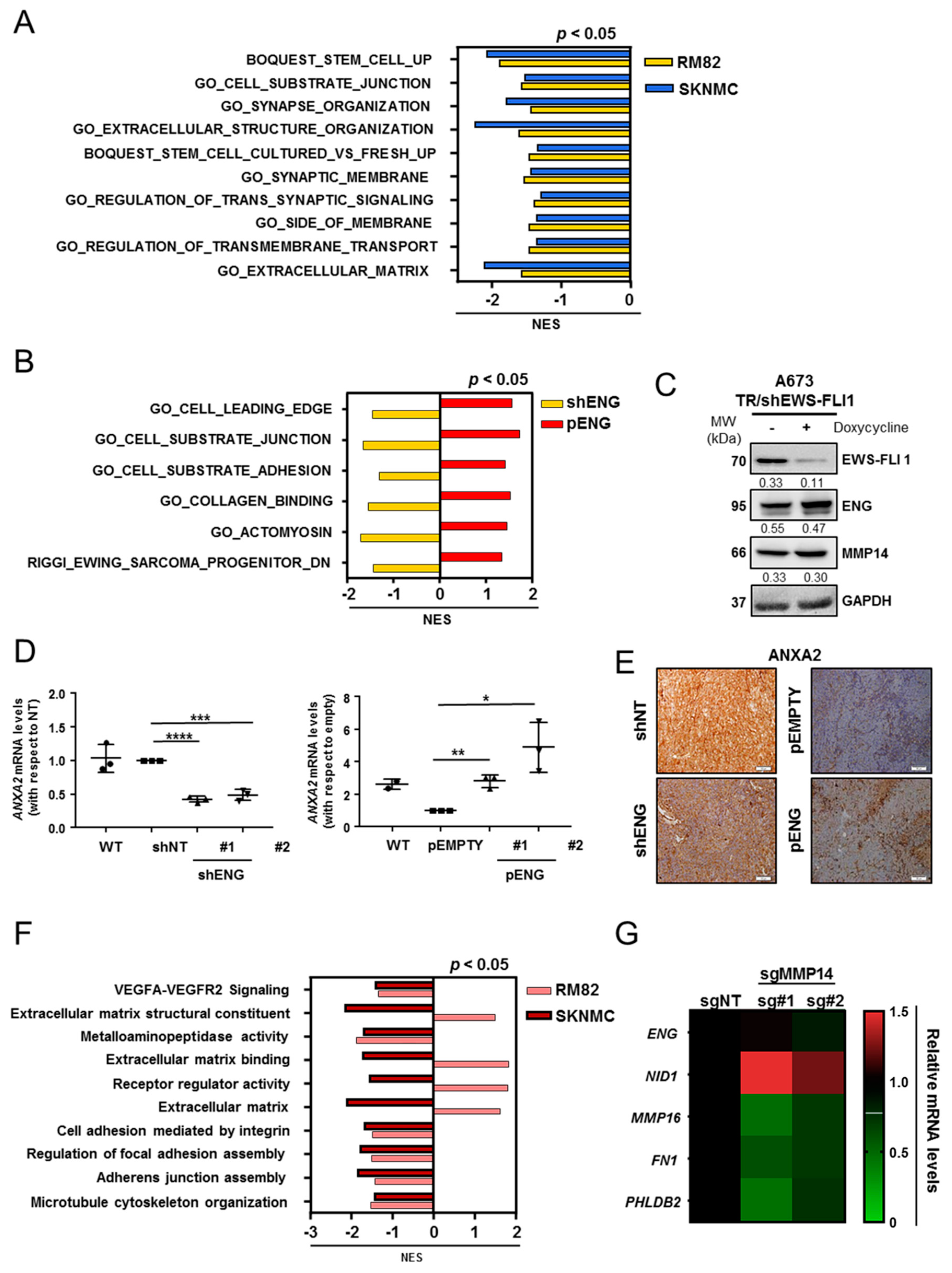 Ijms 23 08657 g003 550