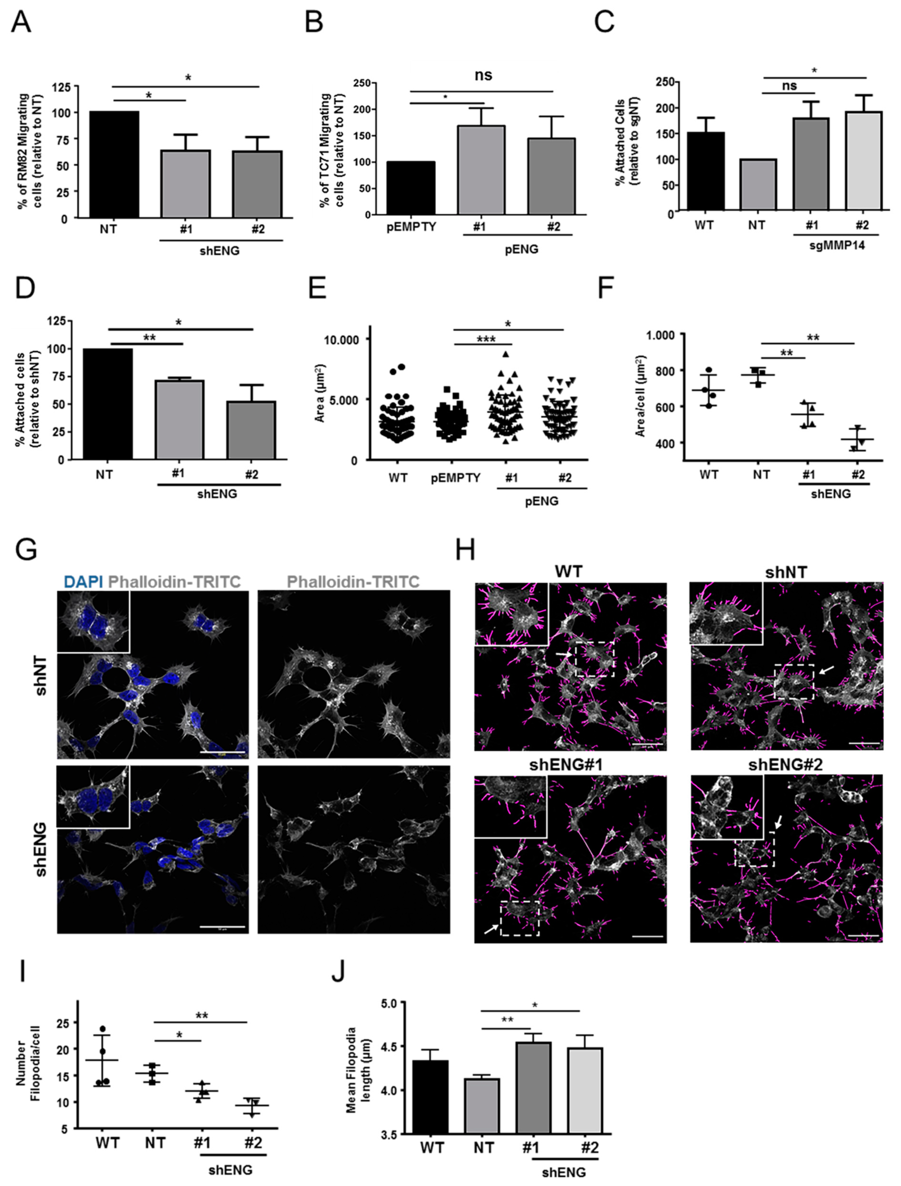 Ijms 23 08657 g004 550