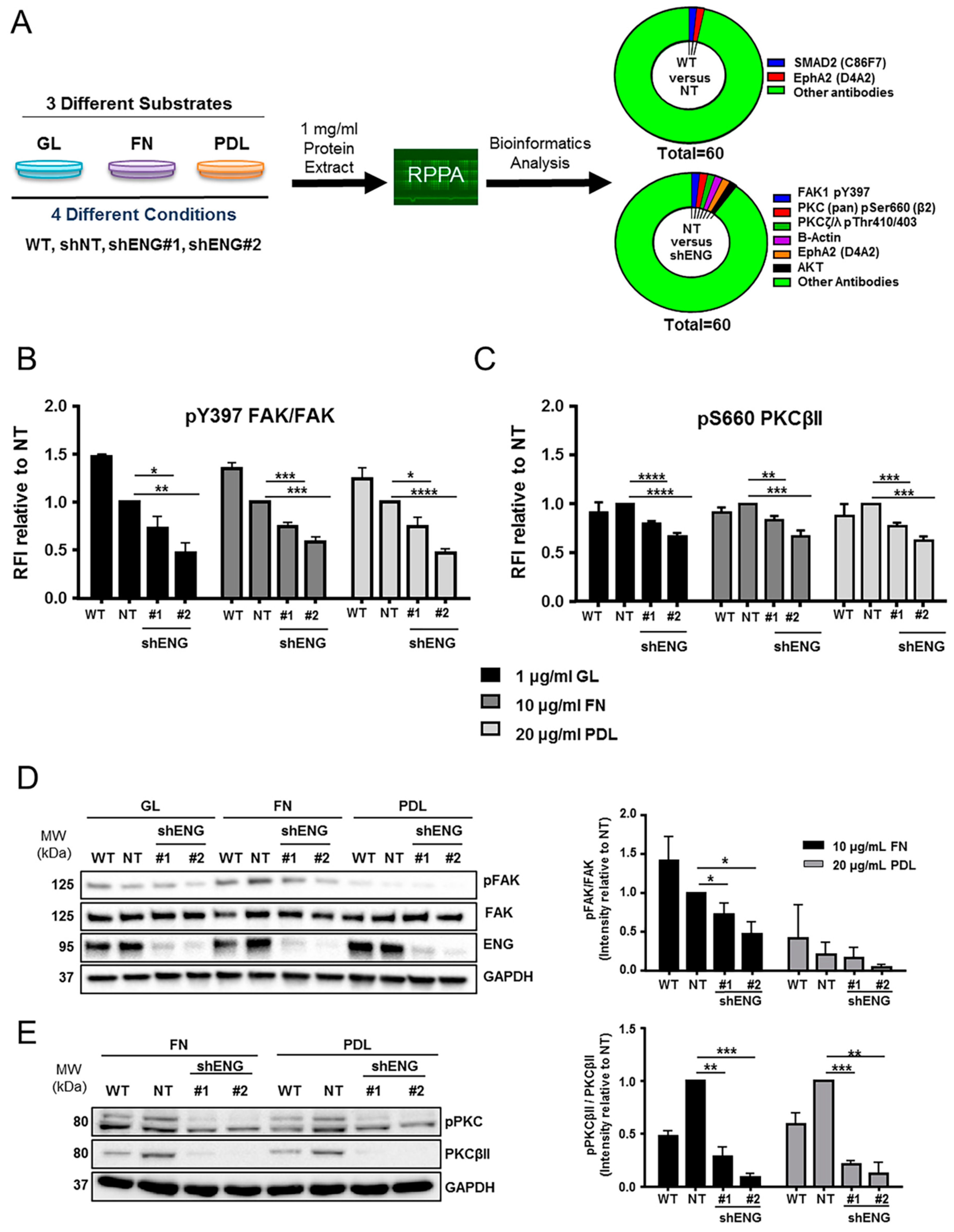 Ijms 23 08657 g005 550