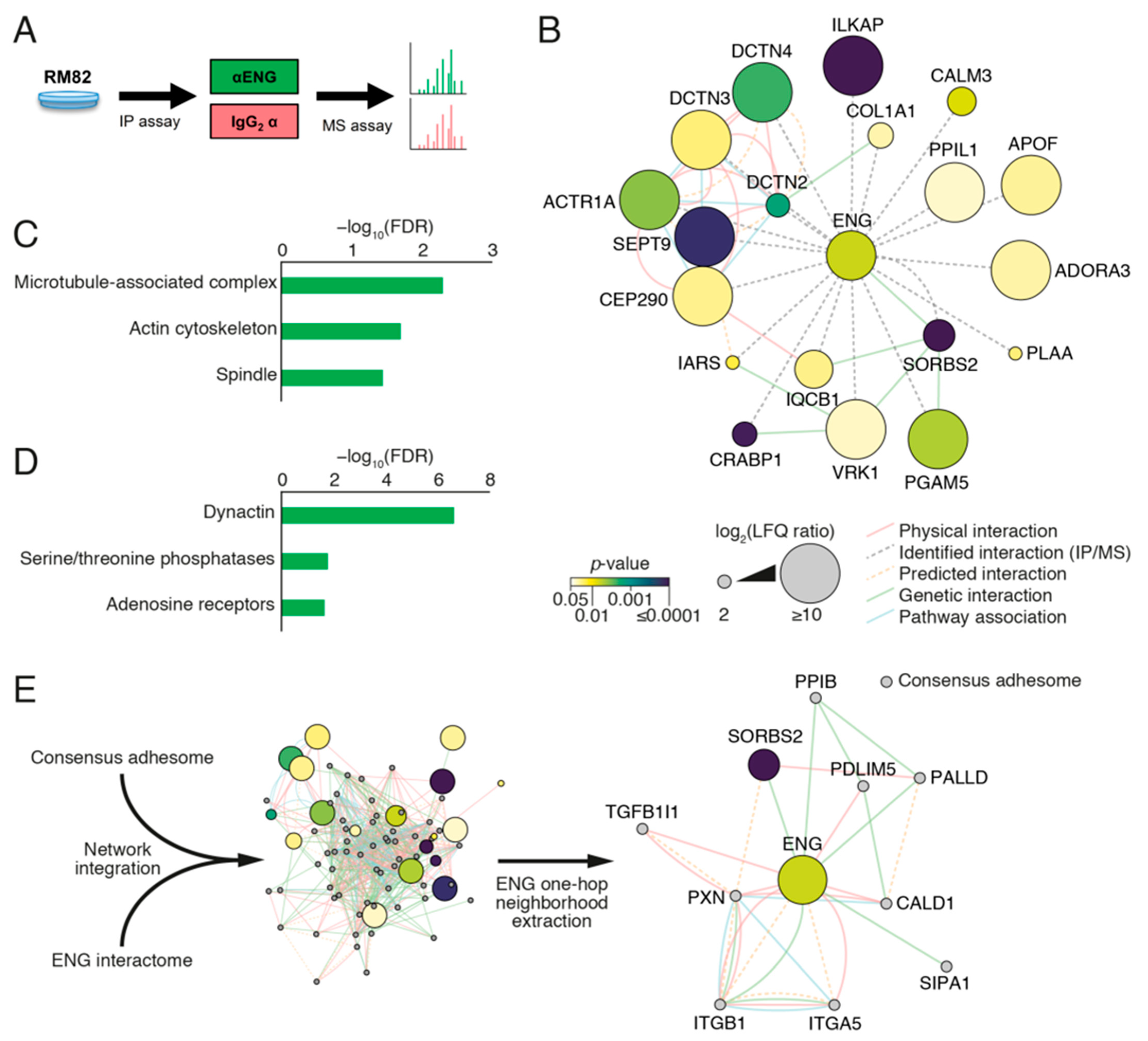 Ijms 23 08657 g006 550