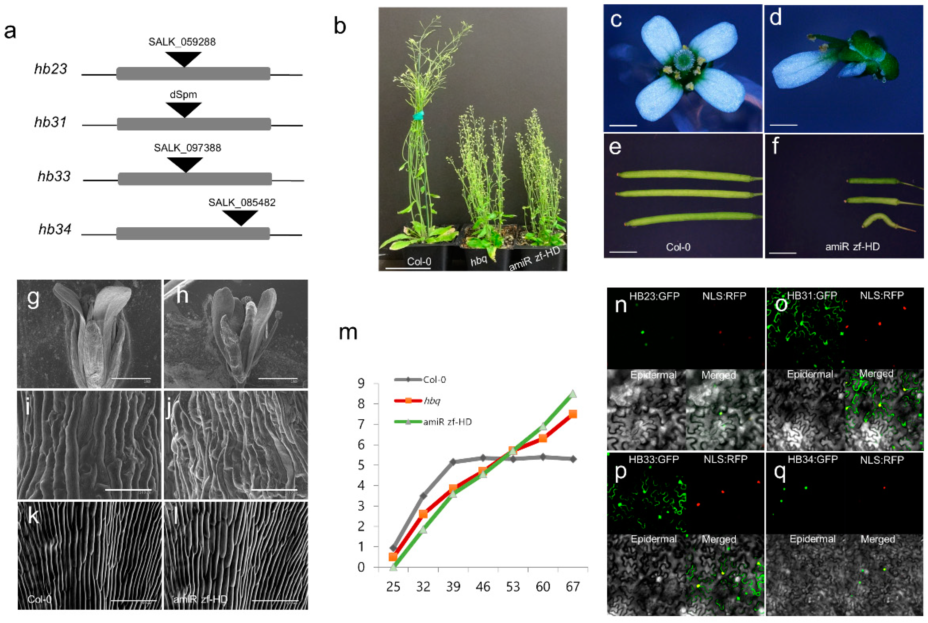 Ijms 23 08665 g001 550