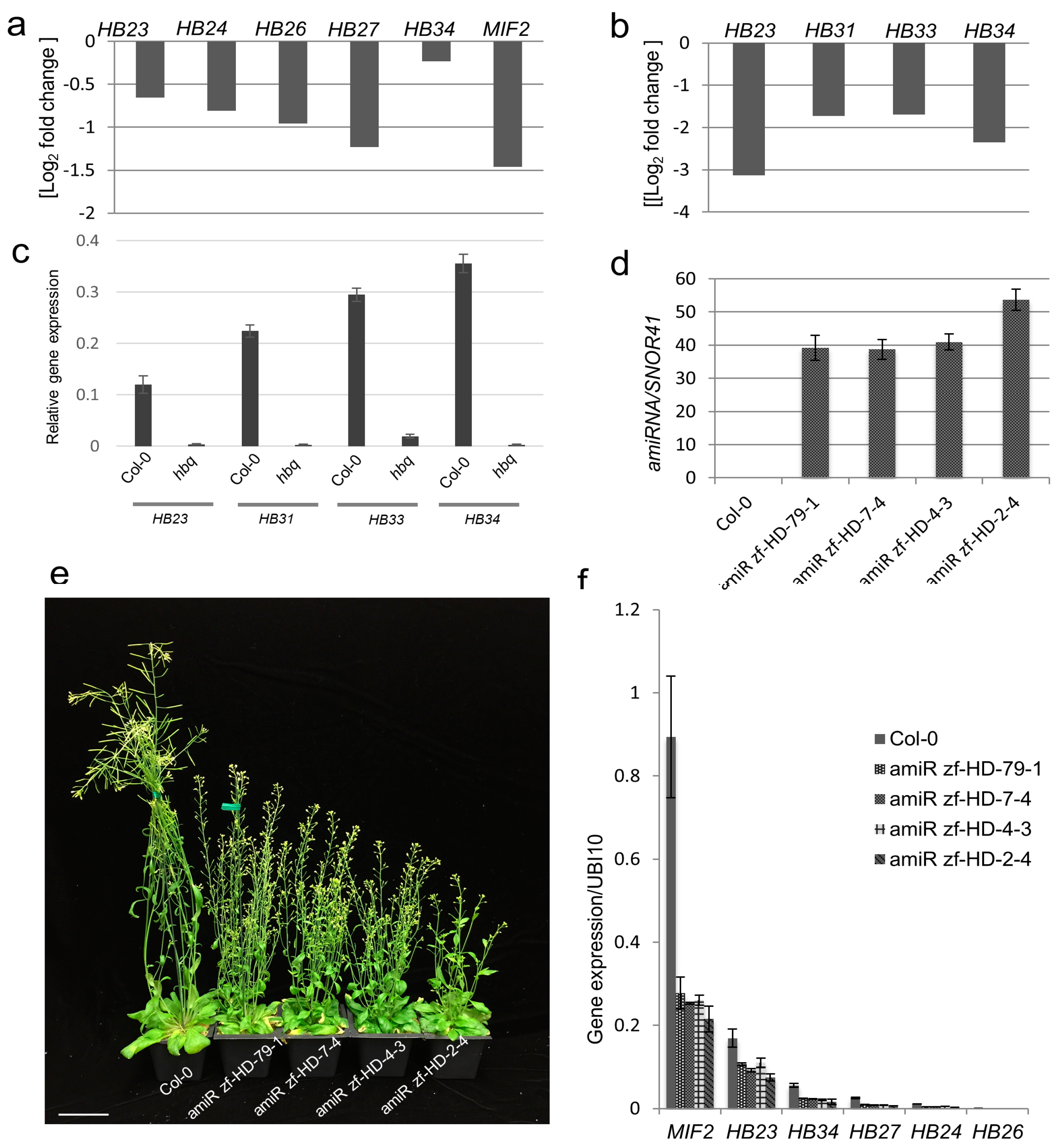 Ijms 23 08665 g002 550
