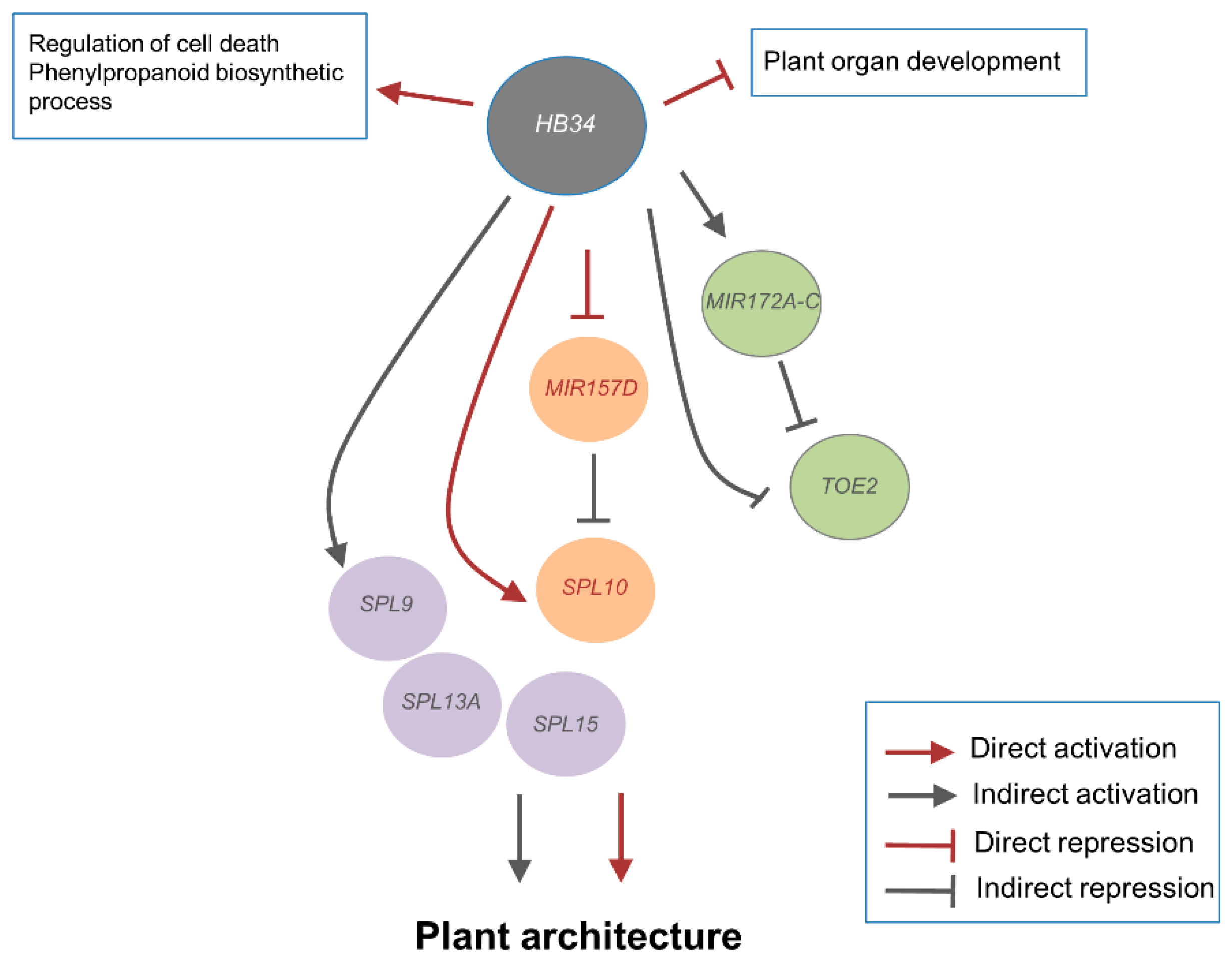 Ijms 23 08665 g006 550