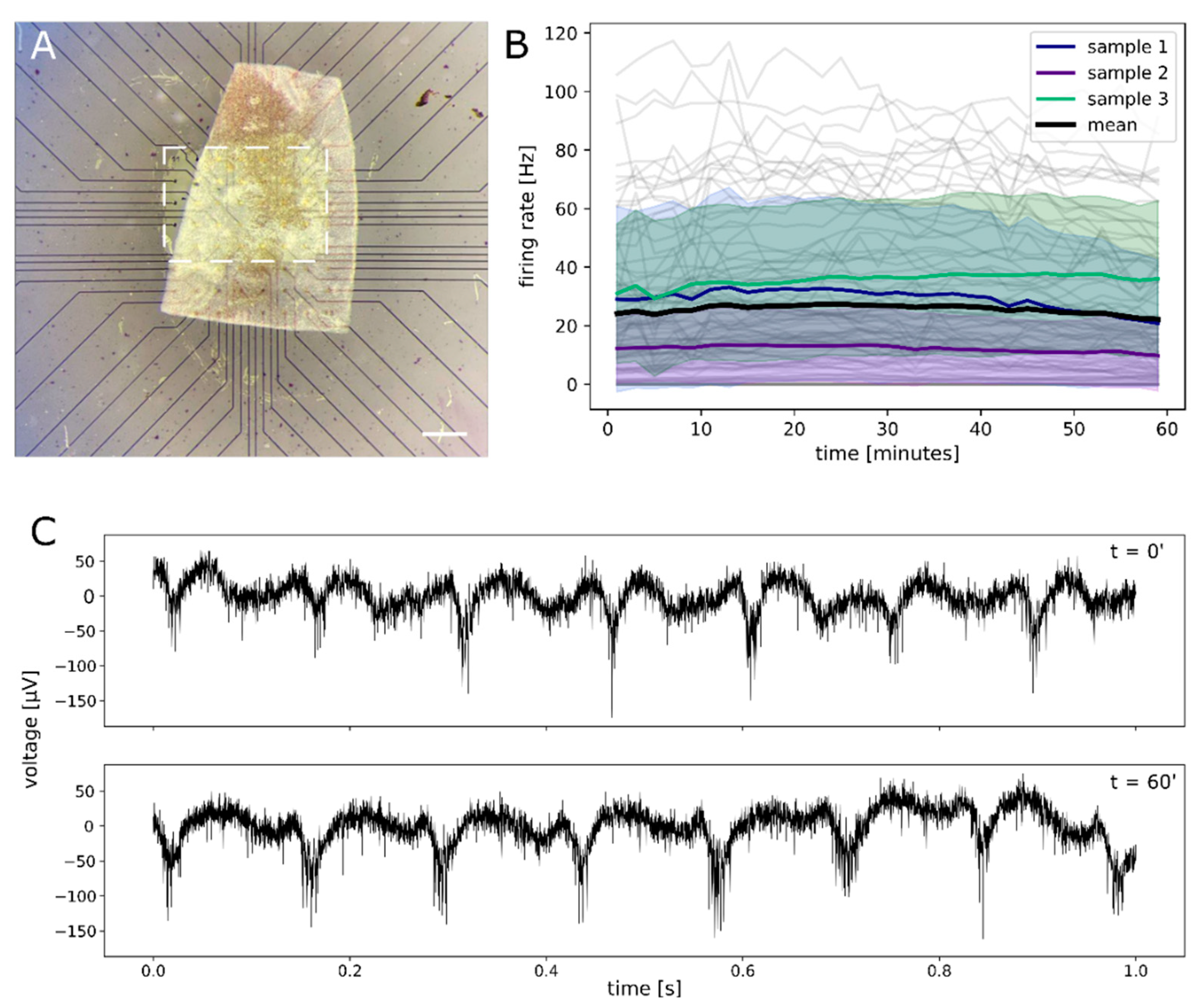 Ijms 23 08666 g004 550