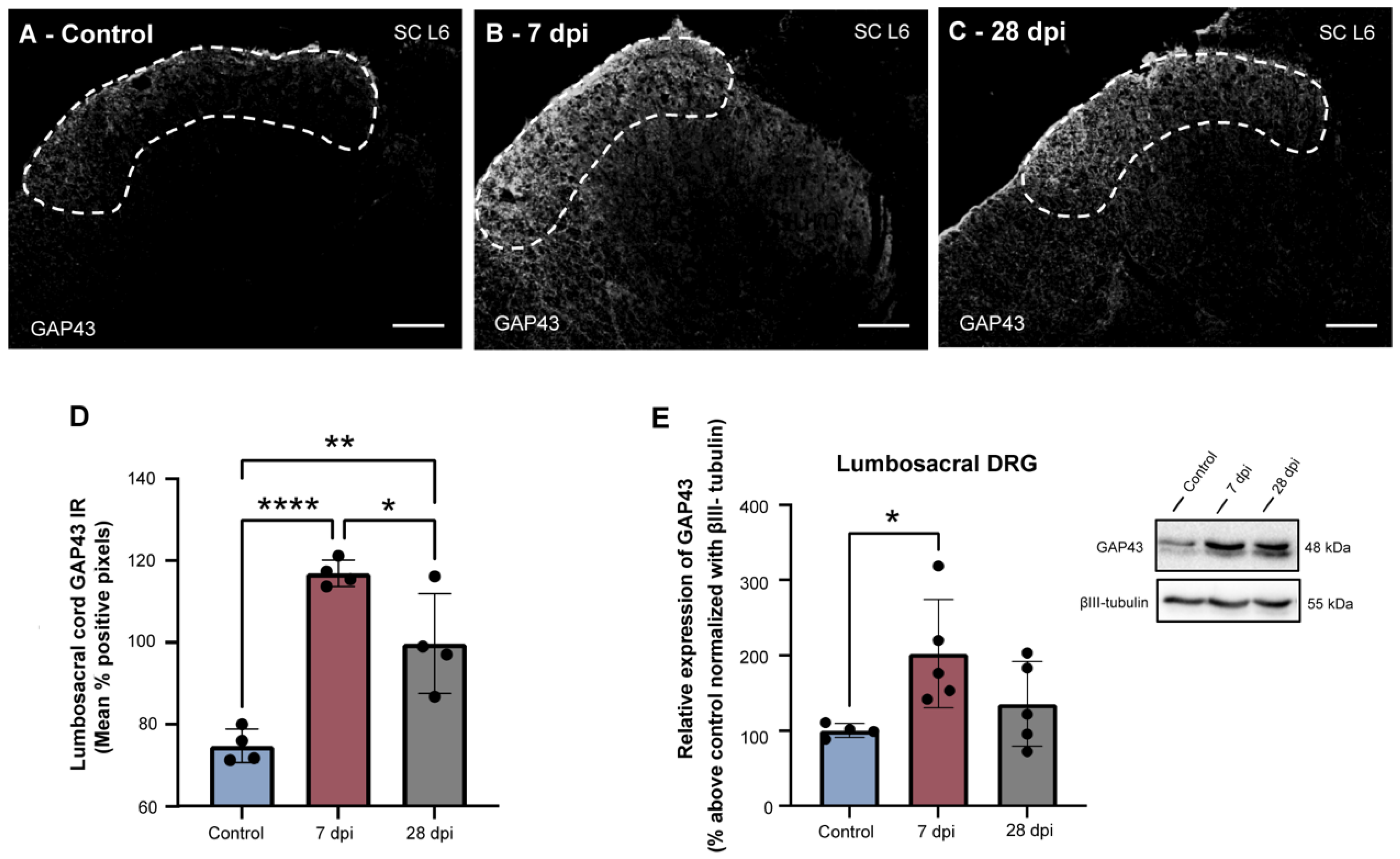 Ijms 23 08667 g002 Ijms 23 08667 g002