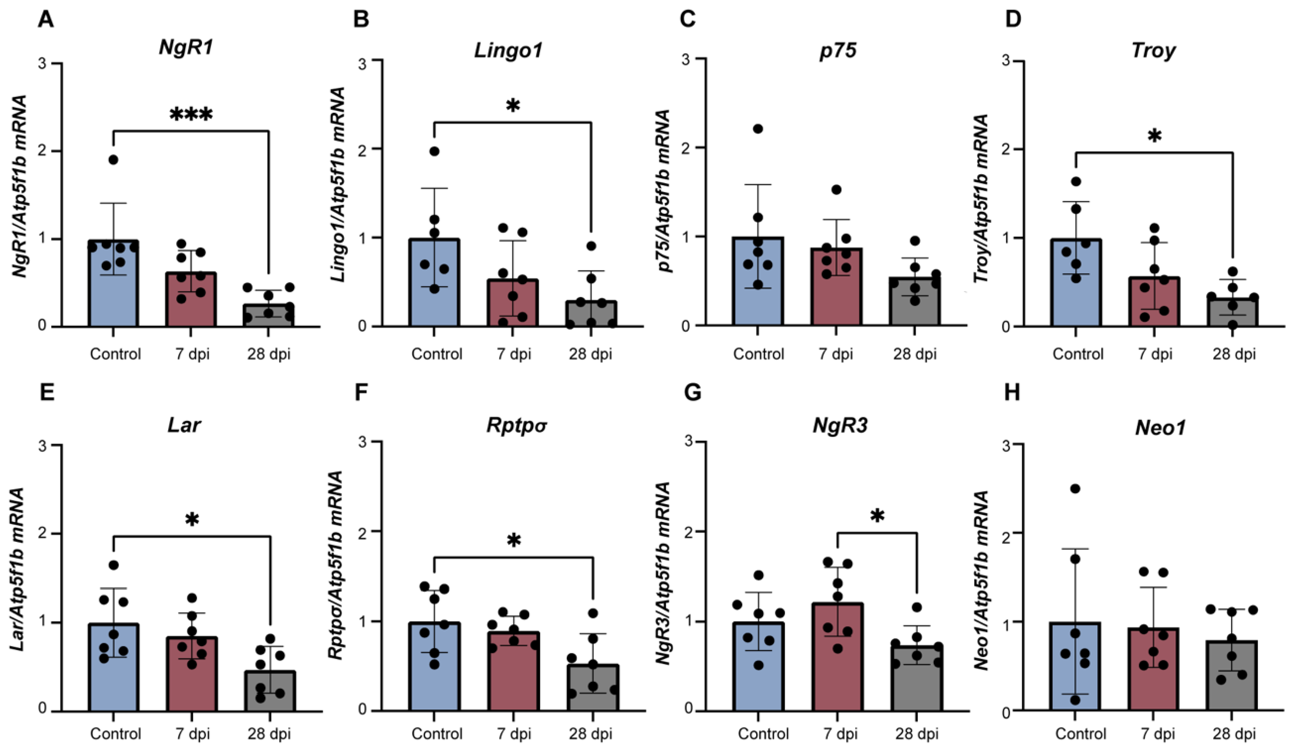 Ijms 23 08667 g004 Ijms 23 08667 g004