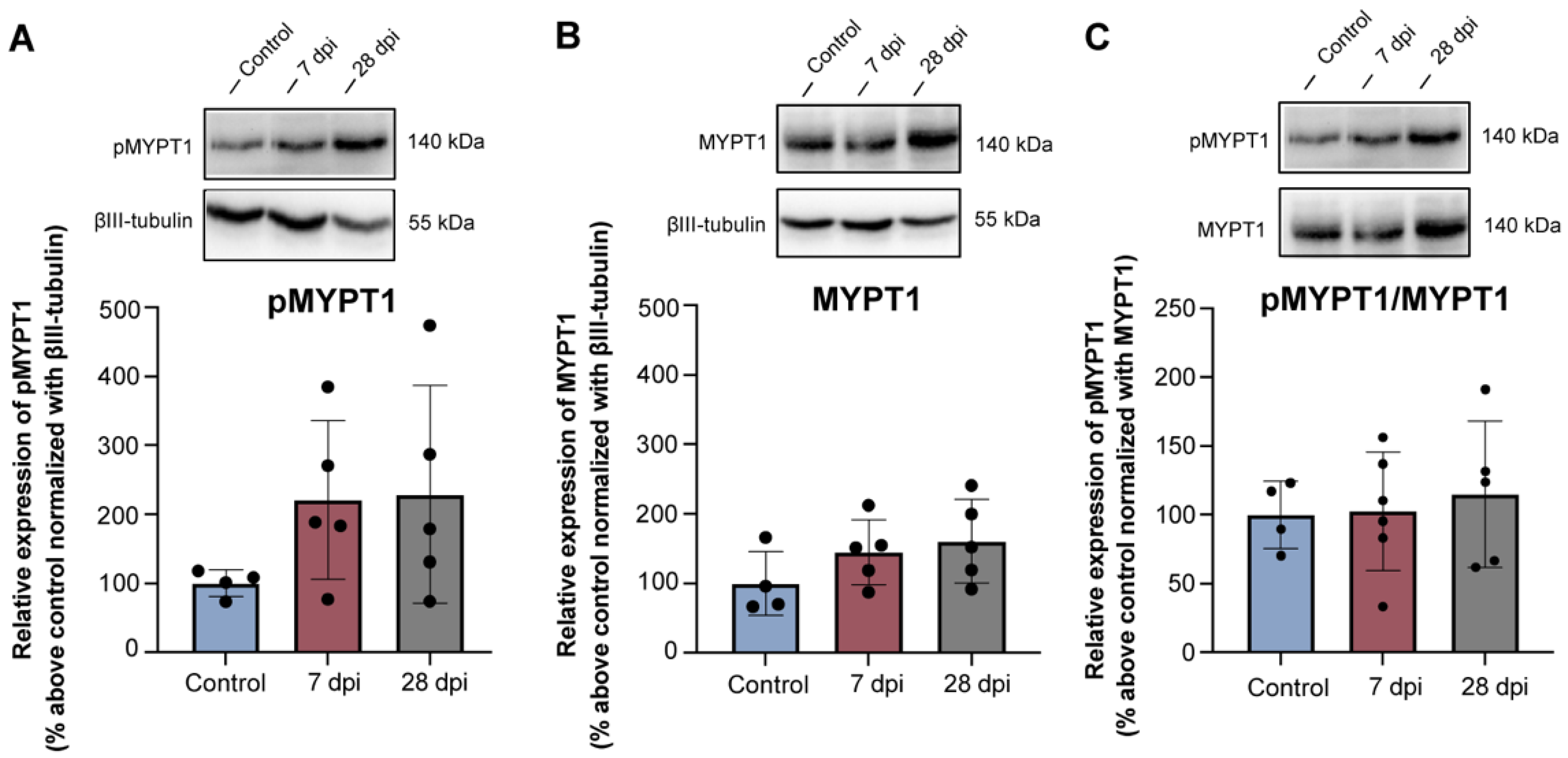 Ijms 23 08667 g005 Ijms 23 08667 g005