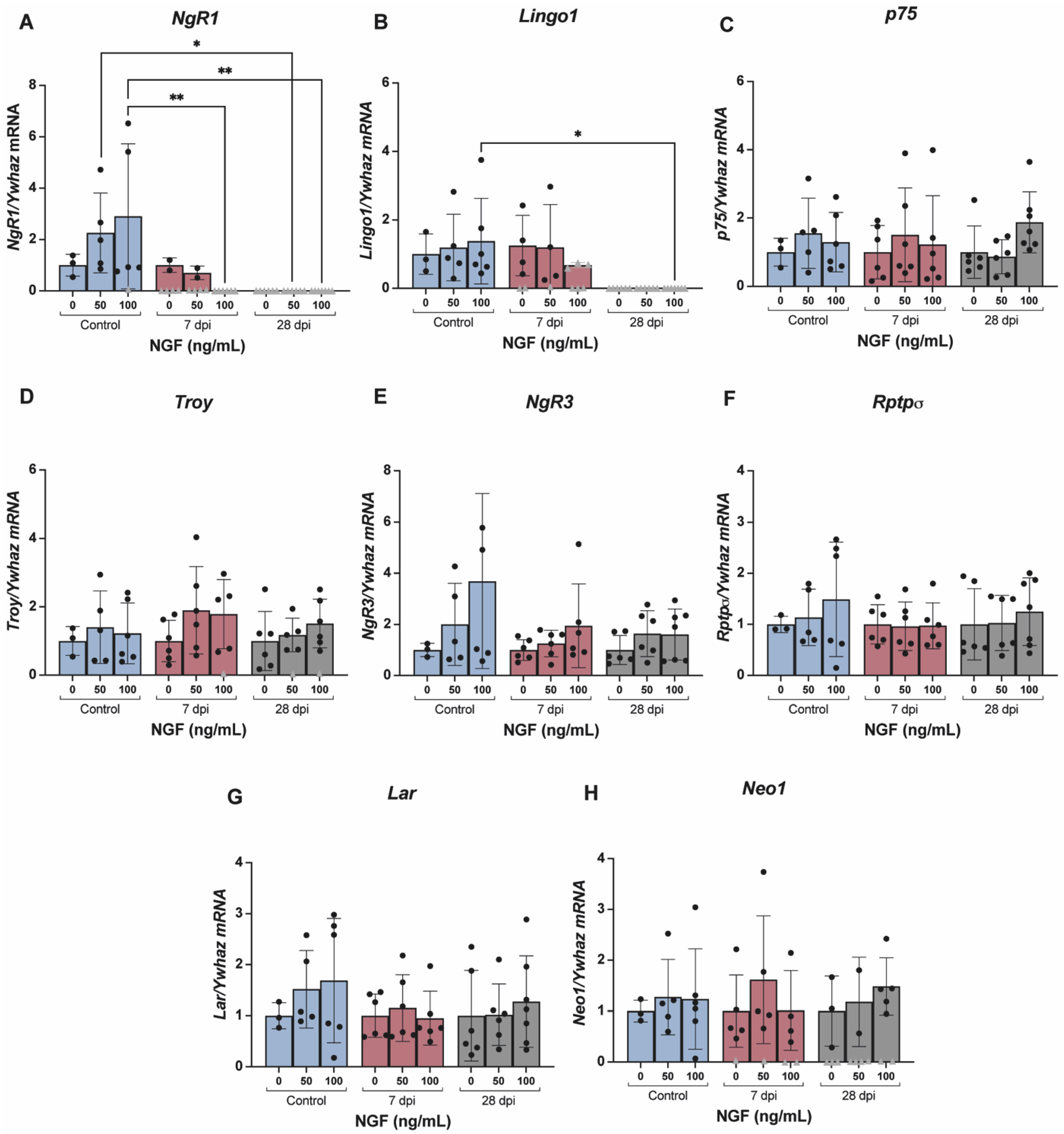 Ijms 23 08667 g007 Ijms 23 08667 g007