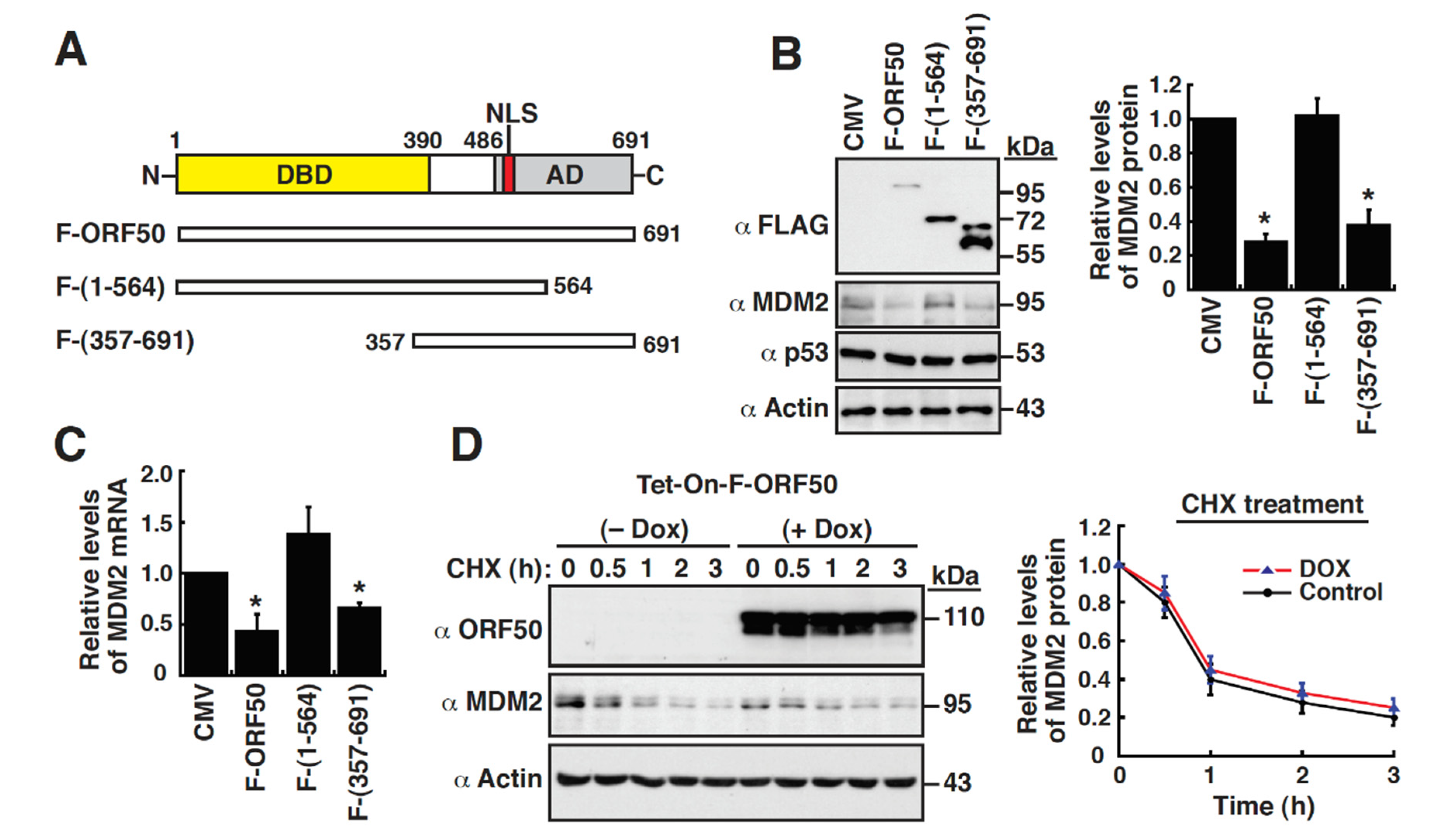 Ijms 23 08673 g002 Ijms 23 08673 g002