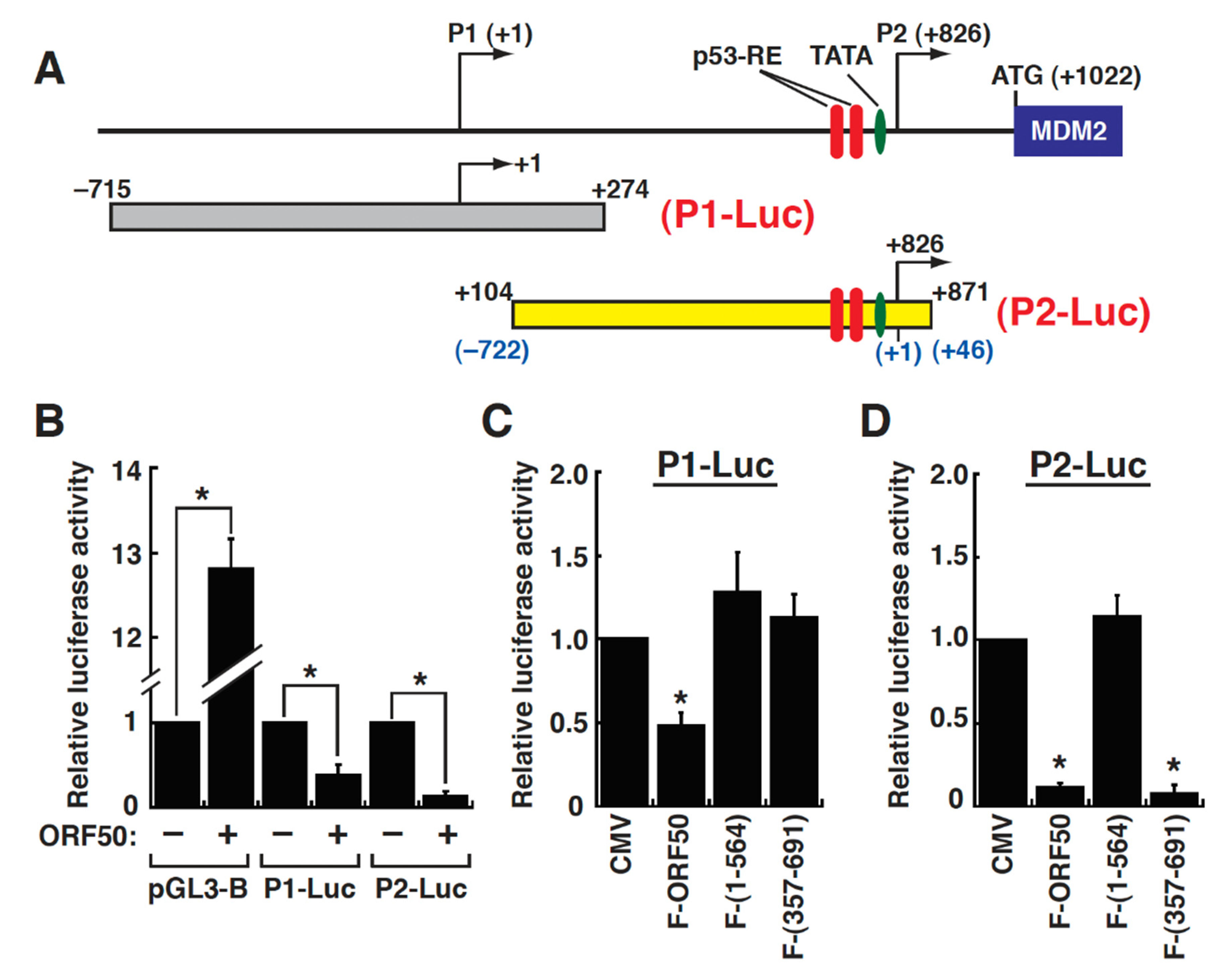Ijms 23 08673 g004 Ijms 23 08673 g004