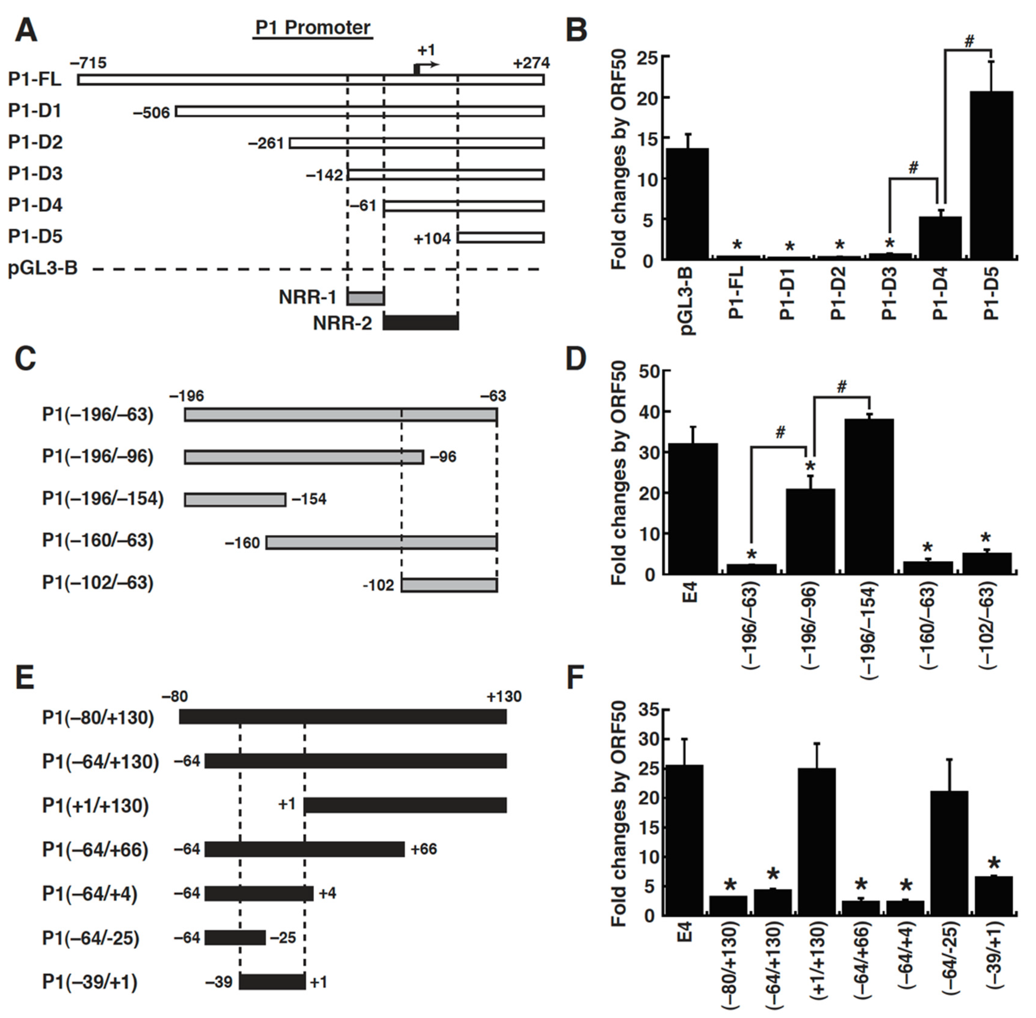 Ijms 23 08673 g005 Ijms 23 08673 g005