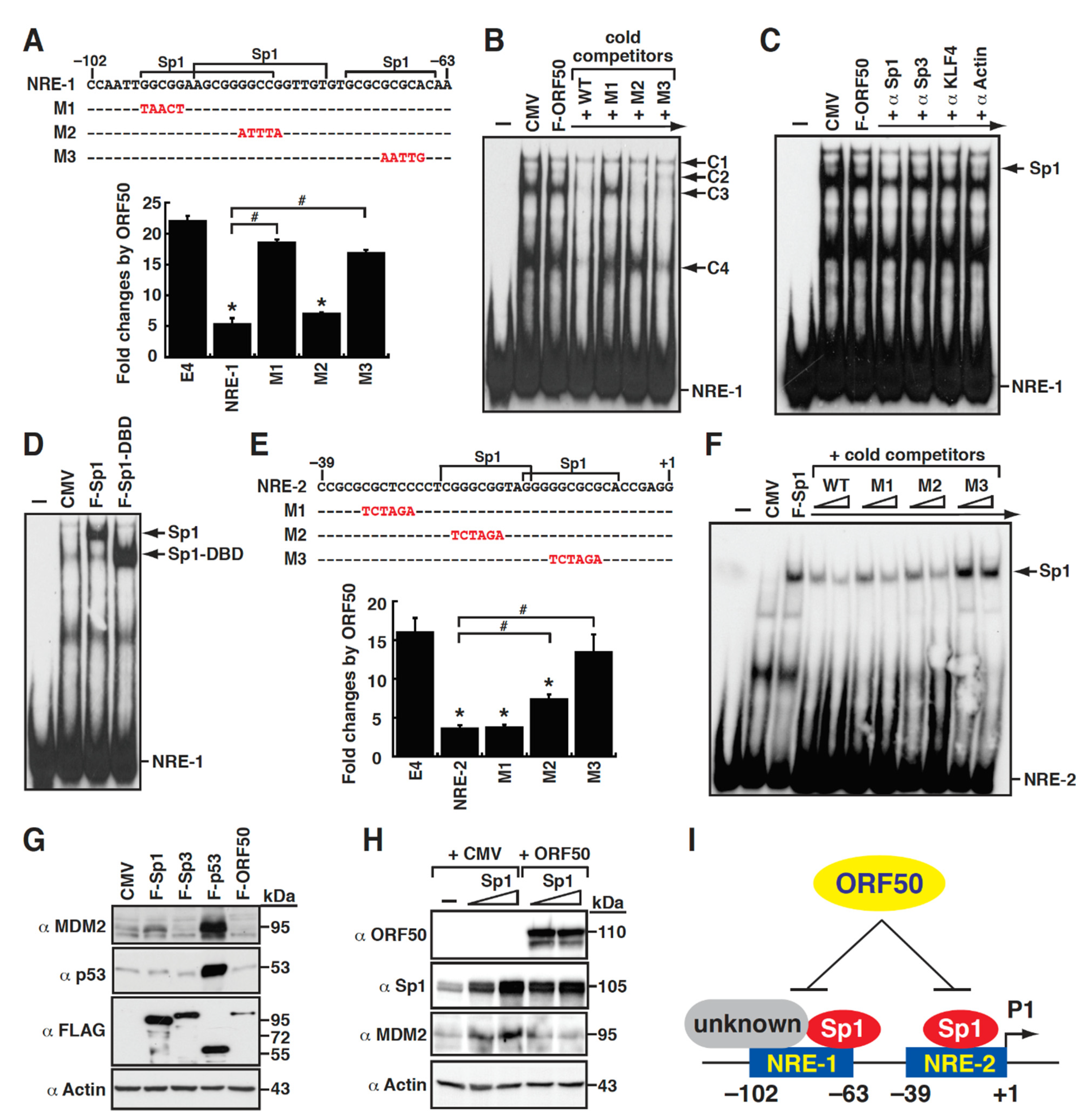 Ijms 23 08673 g006 Ijms 23 08673 g006