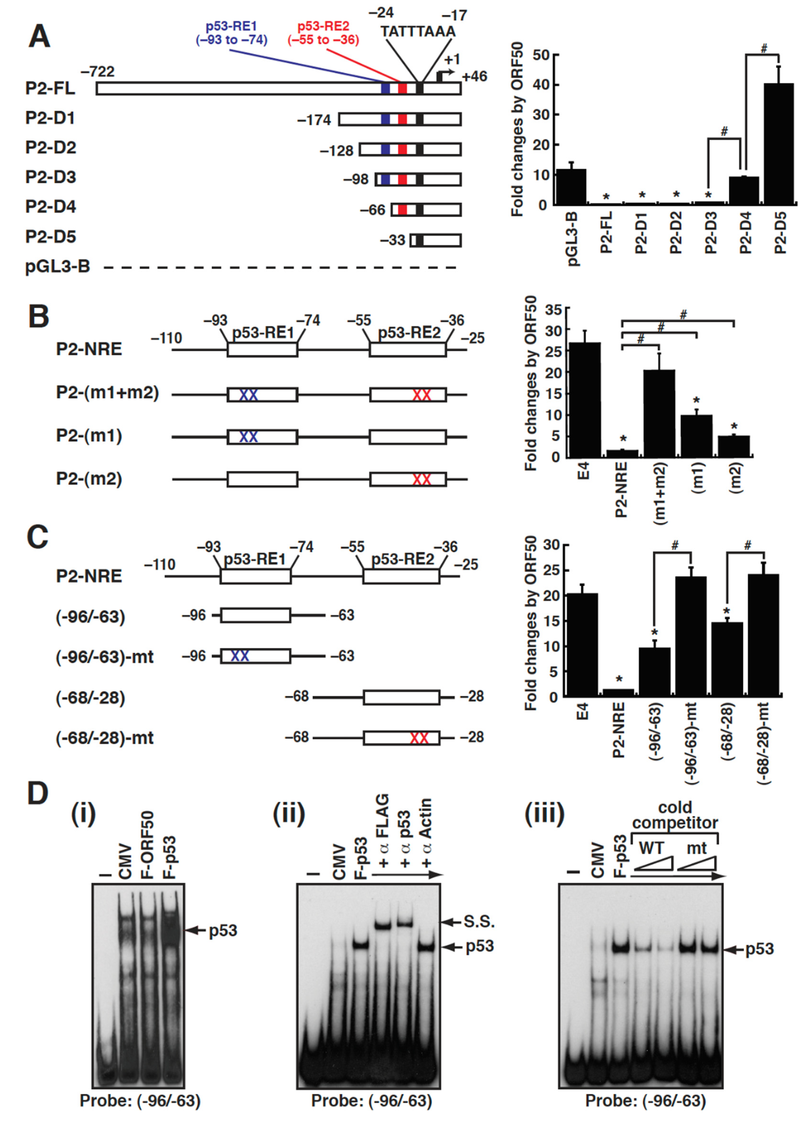 Ijms 23 08673 g007 Ijms 23 08673 g007