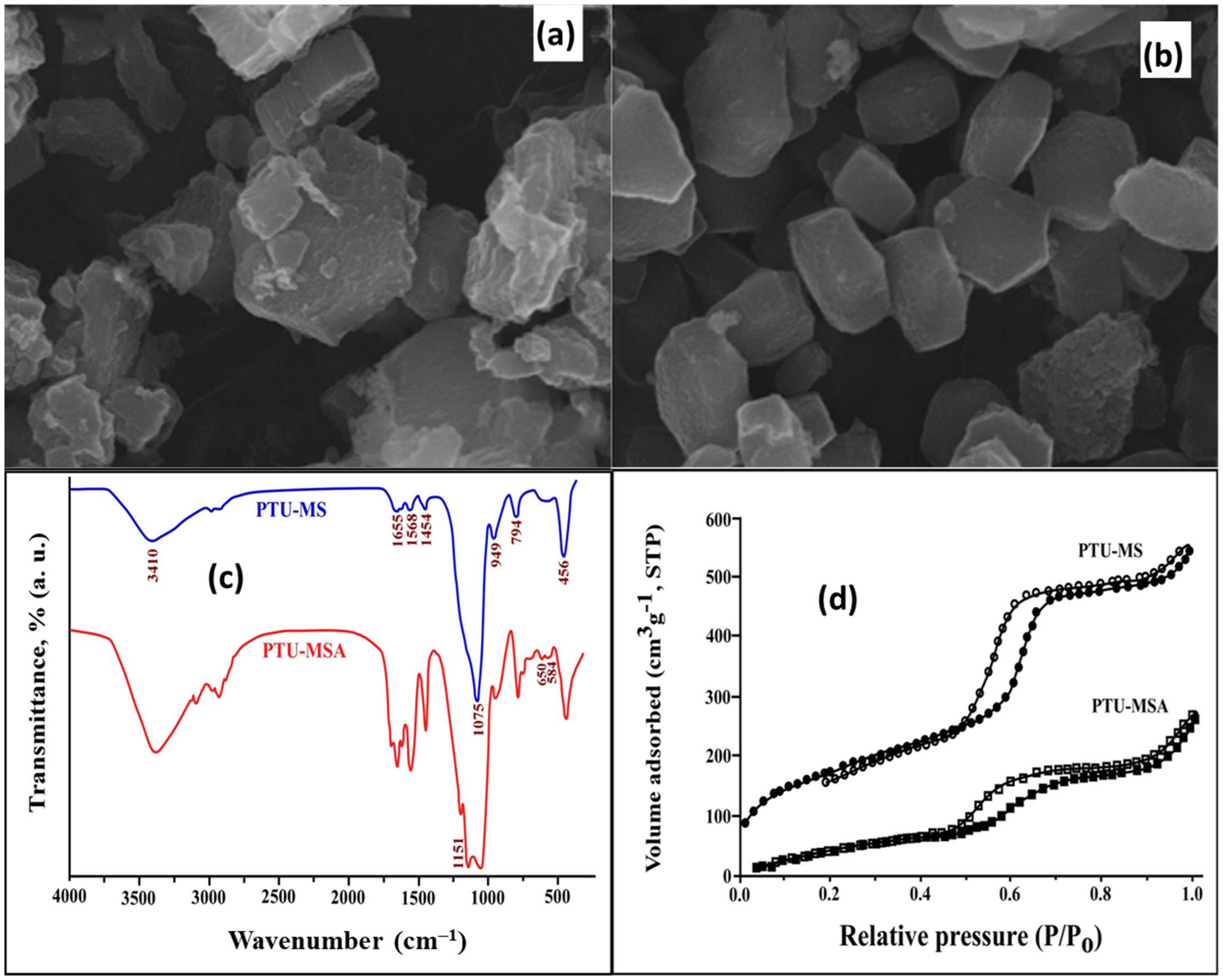 Ijms 23 08677 g005 550