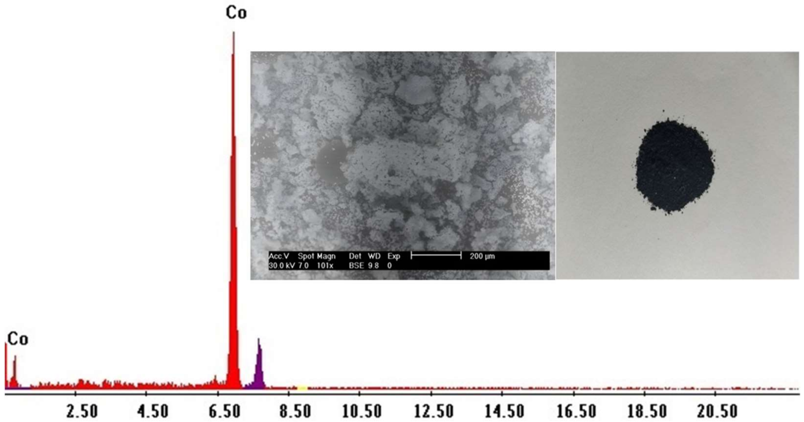 Ijms 23 08677 g010 550