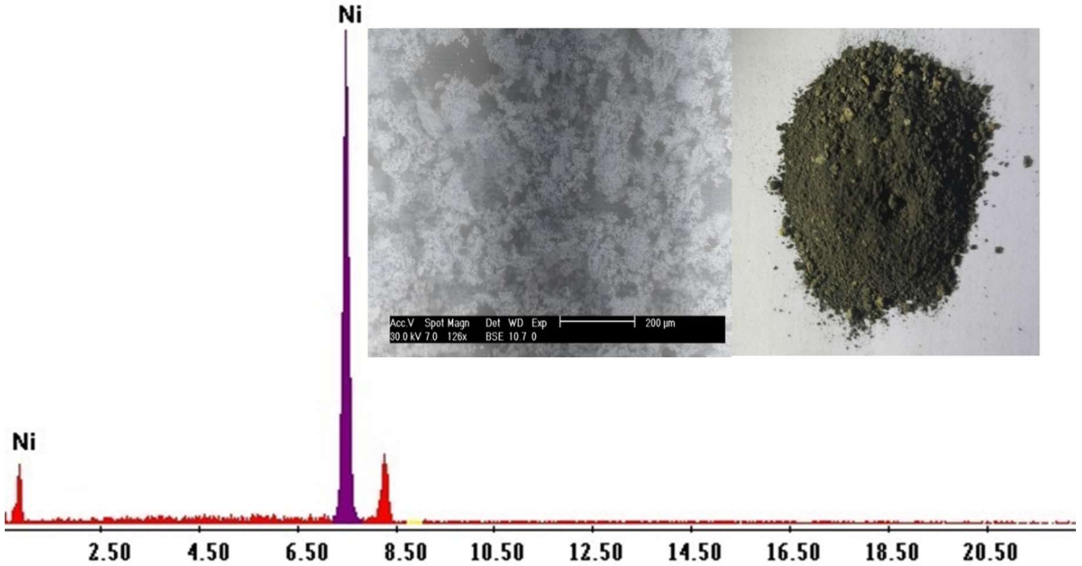 Ijms 23 08677 g011 550