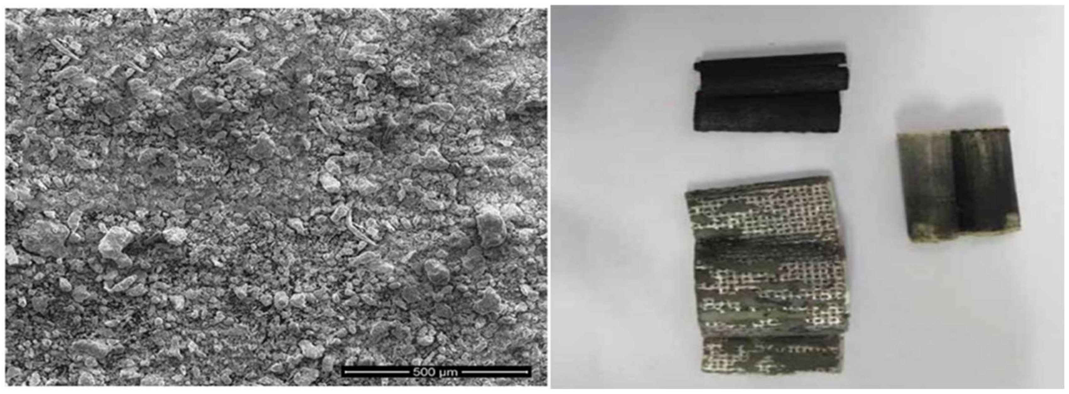 Ijms 23 08677 g013 550