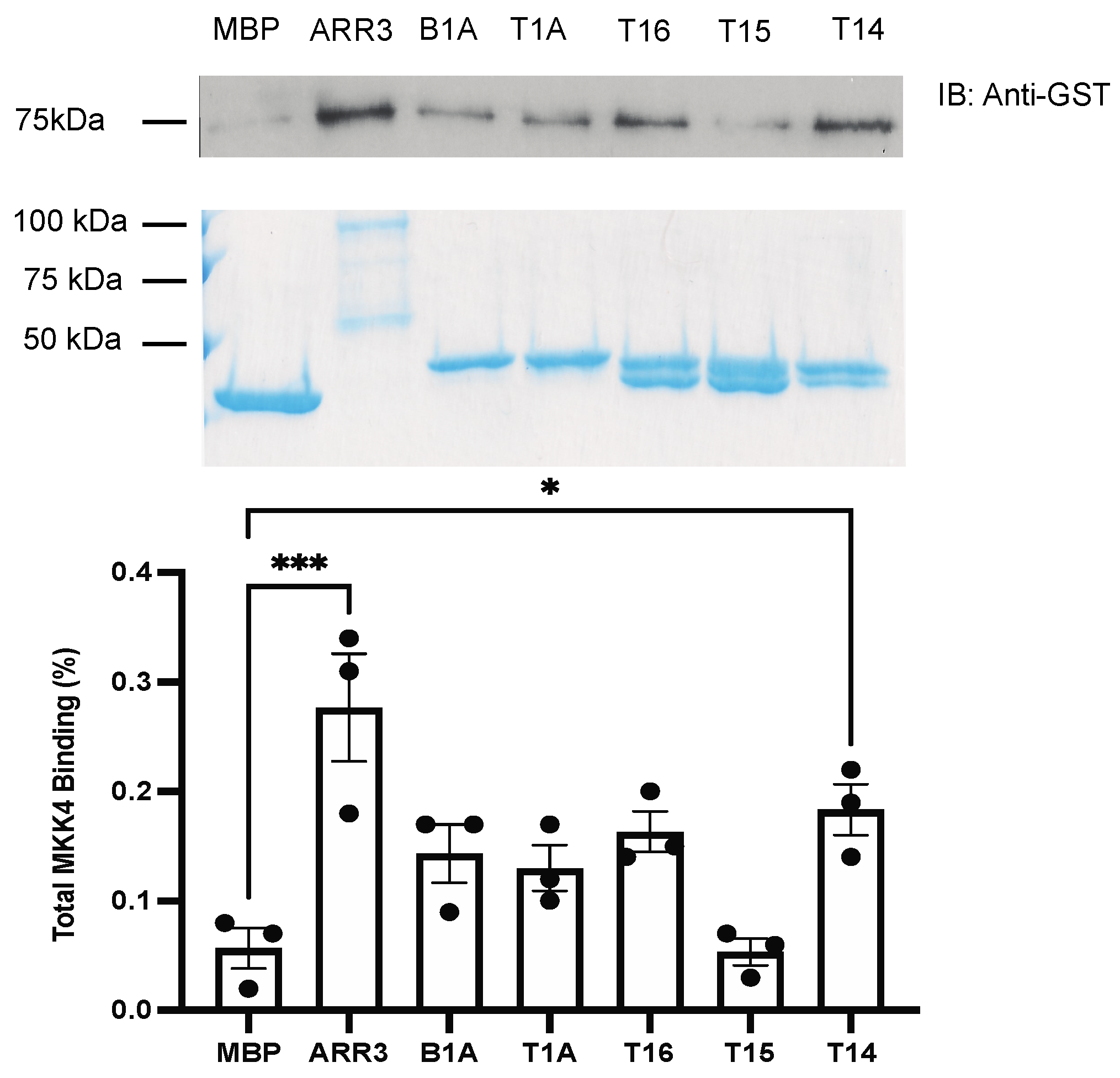 Ijms 23 08679 g003 550