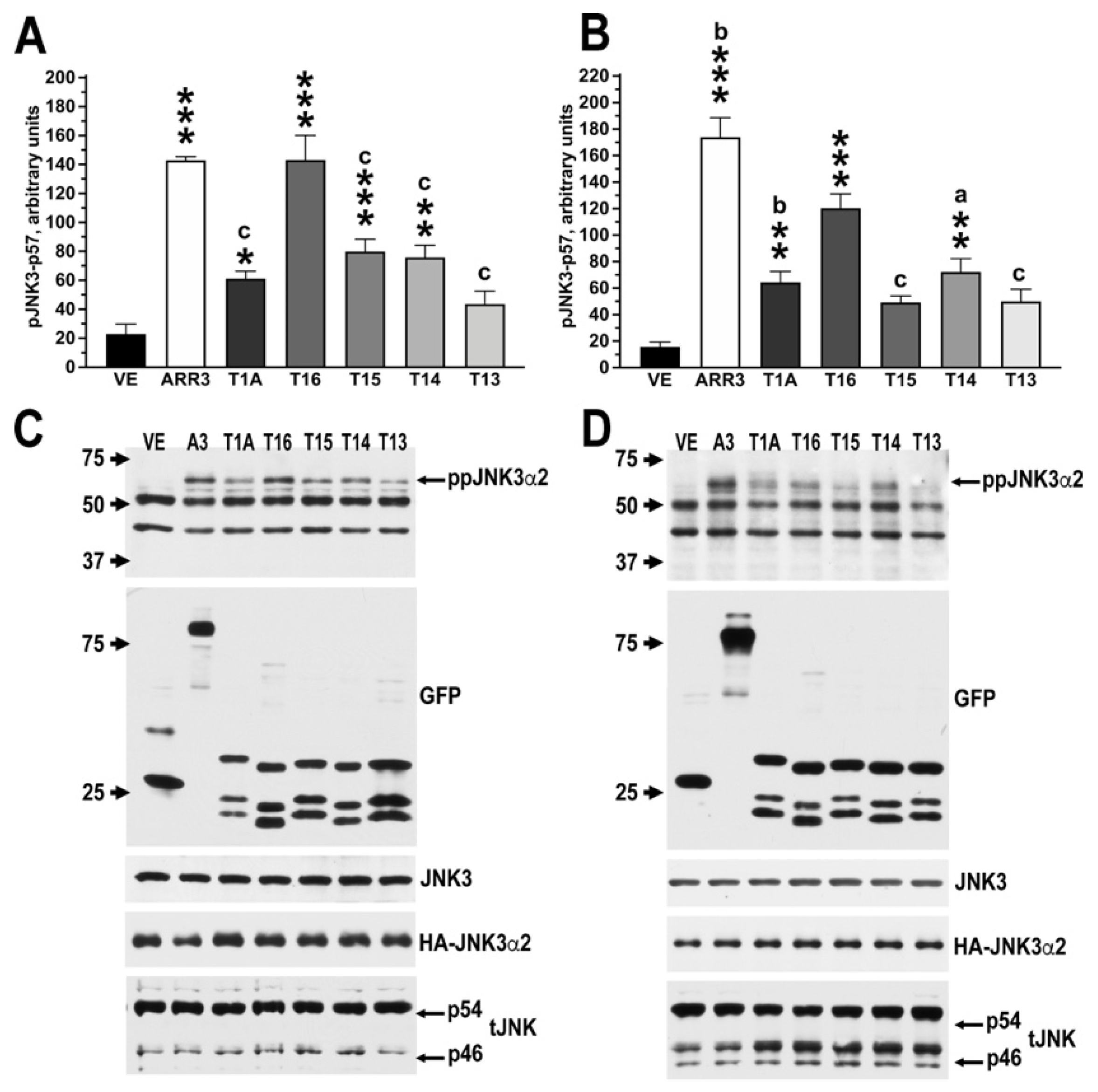Ijms 23 08679 g006 550