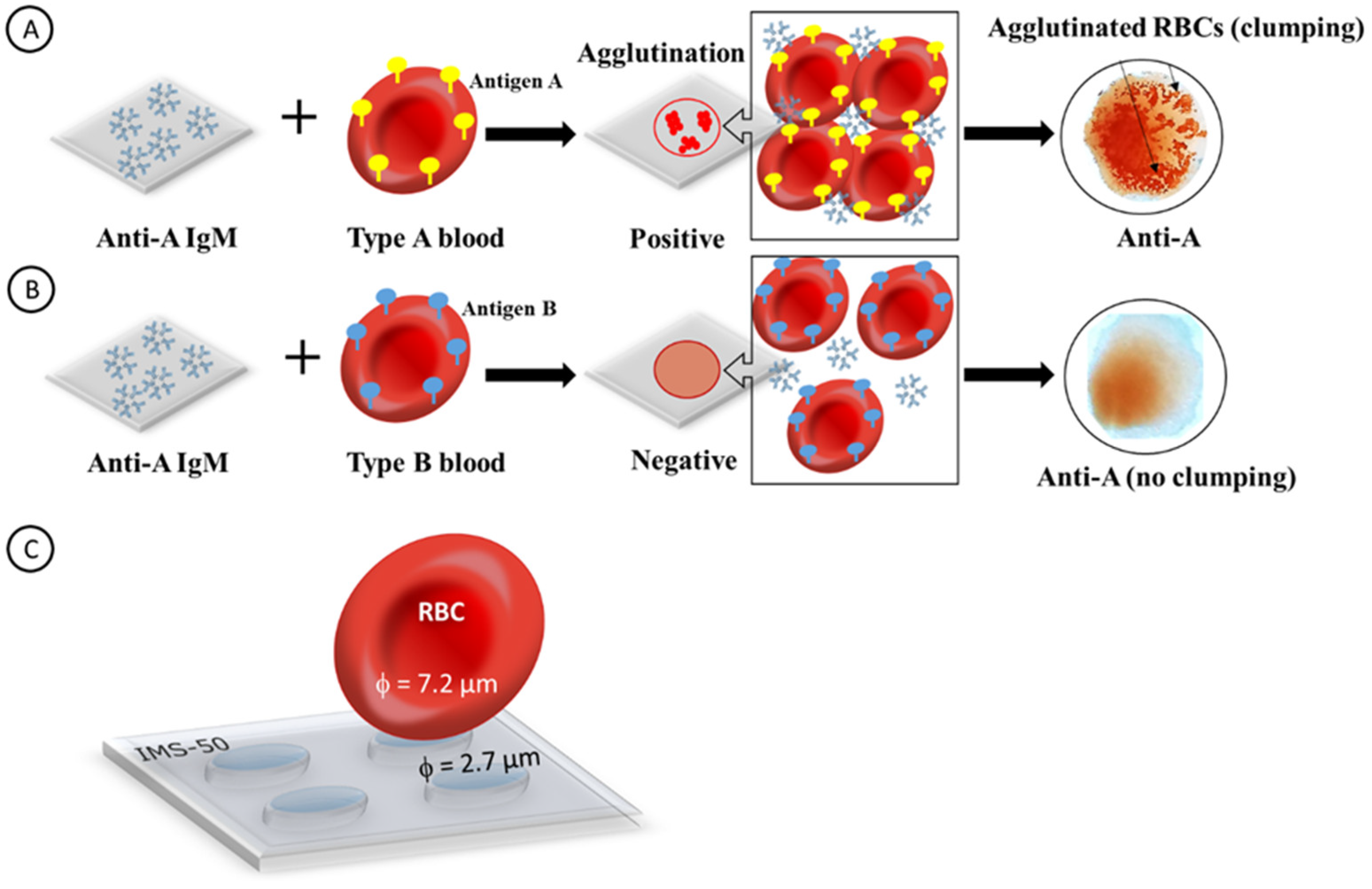 Ijms 23 08694 g001 550