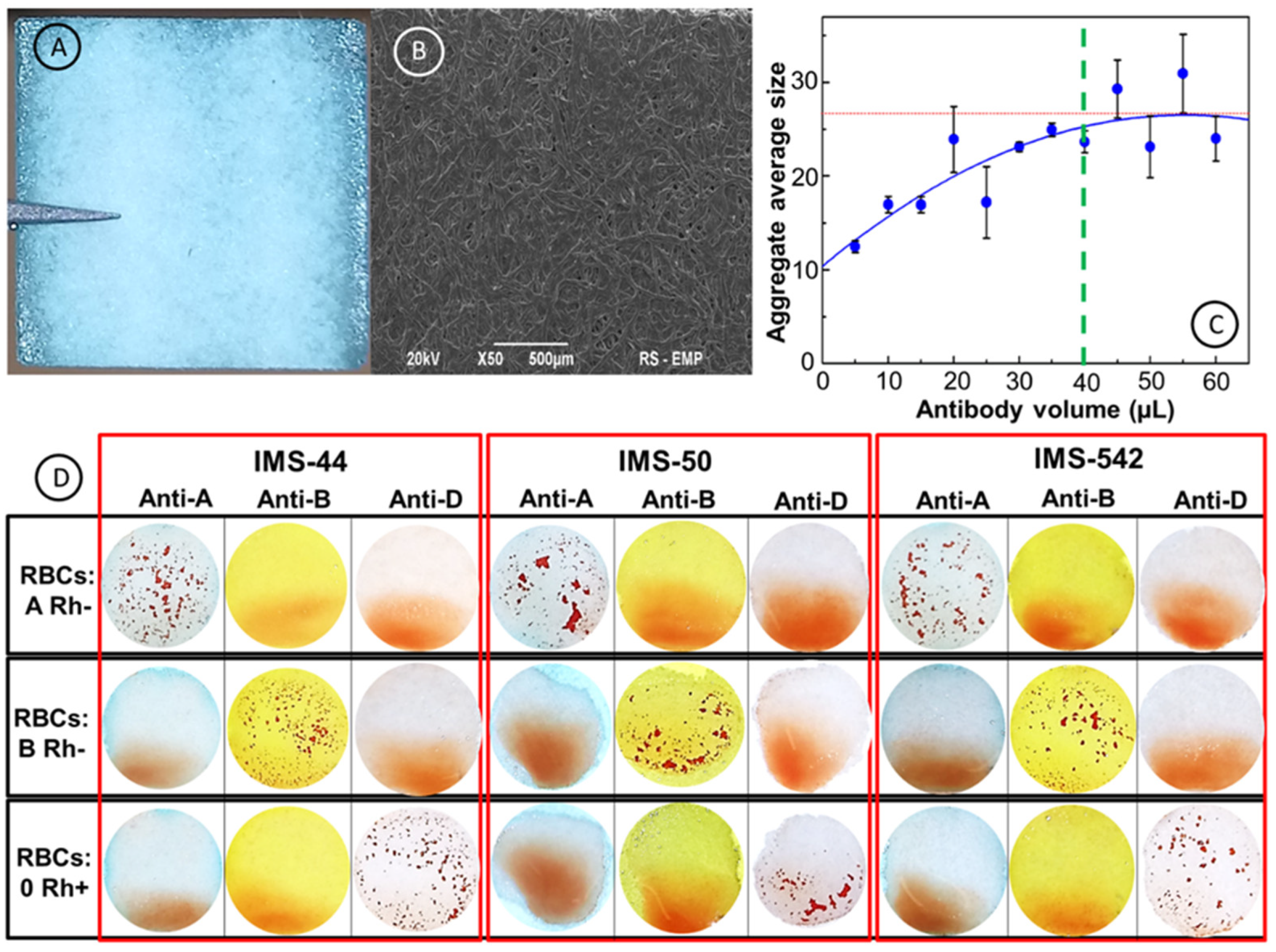 Ijms 23 08694 g003 550