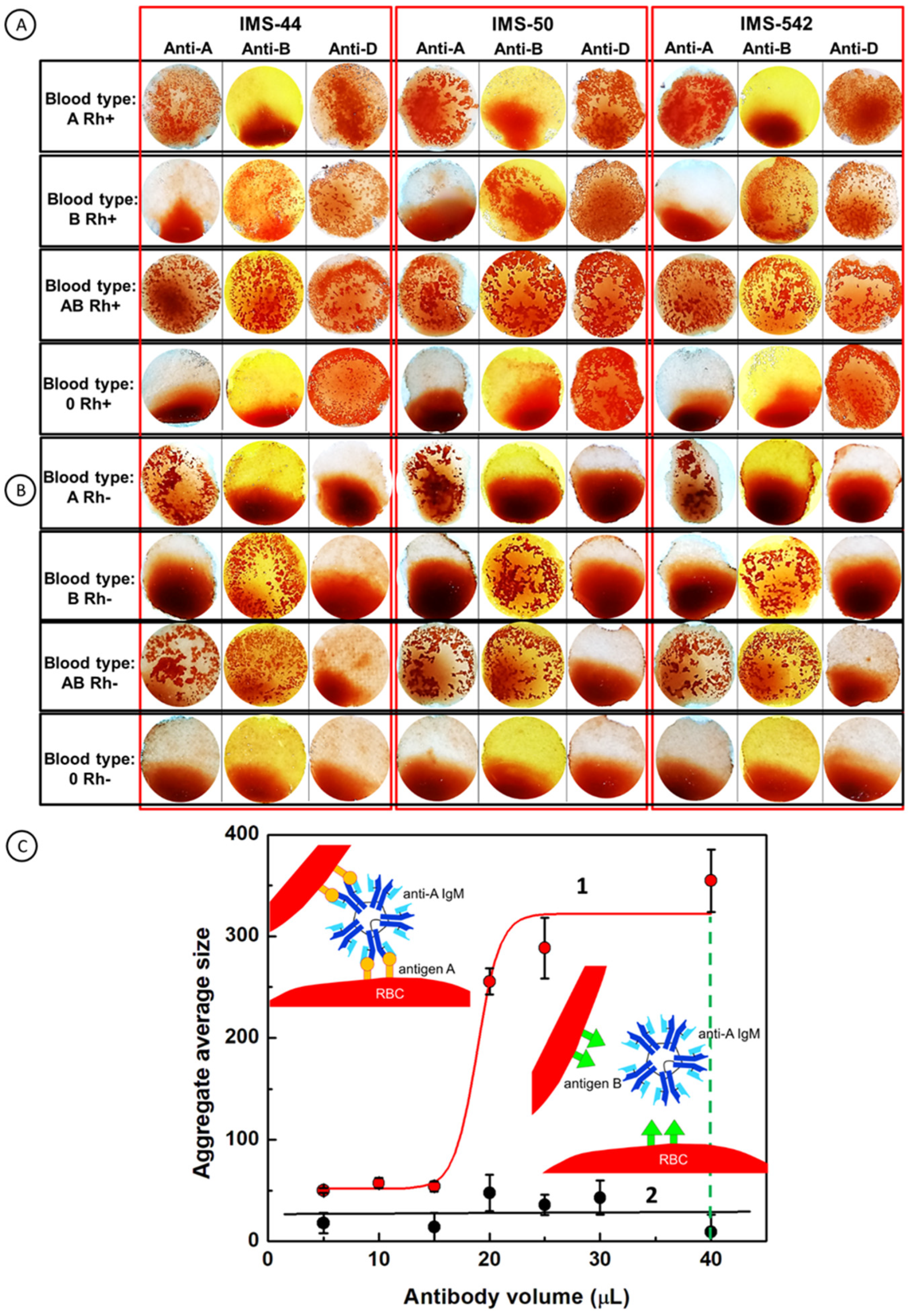 Ijms 23 08694 g006 550
