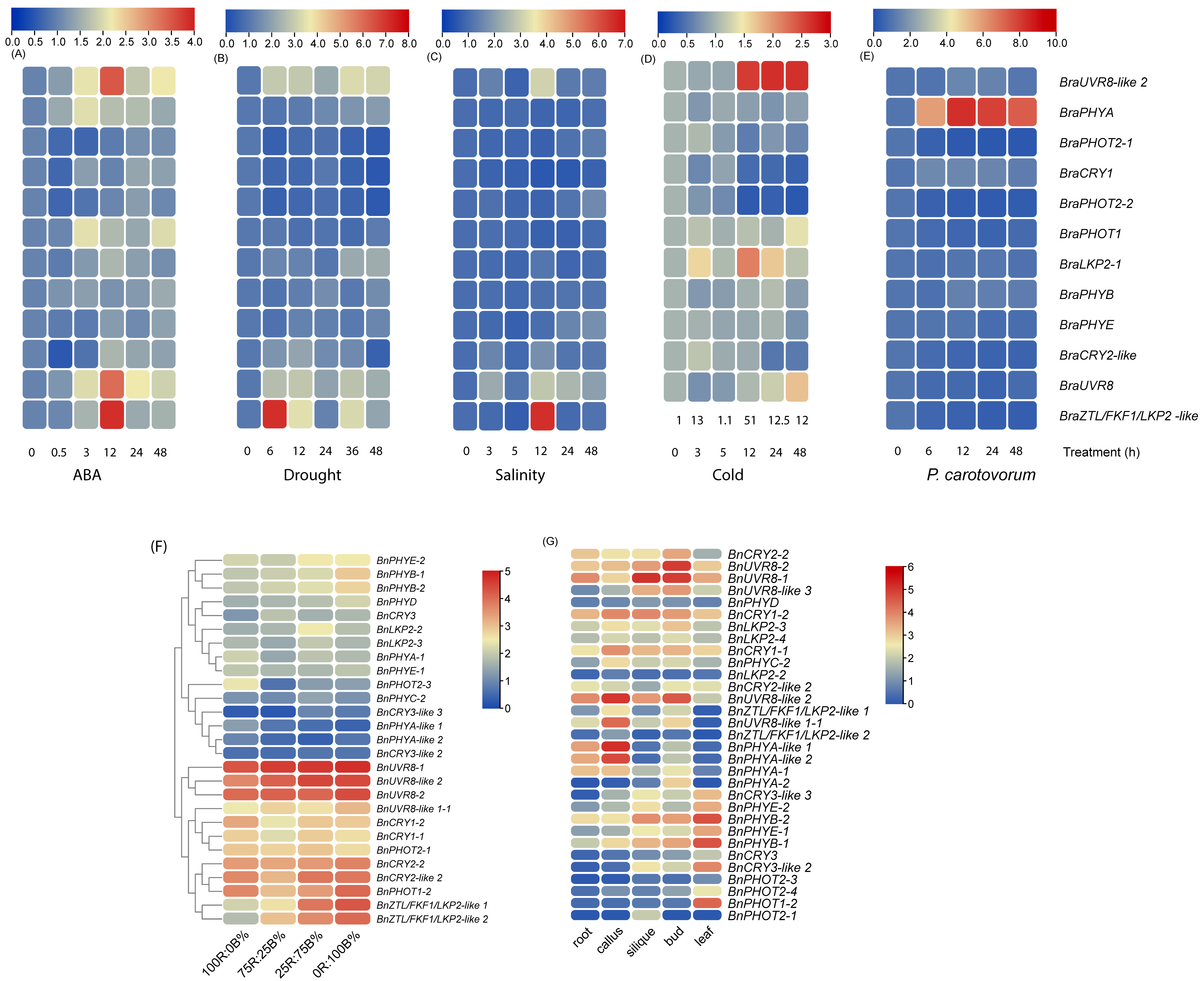 Ijms 23 08695 g007 550