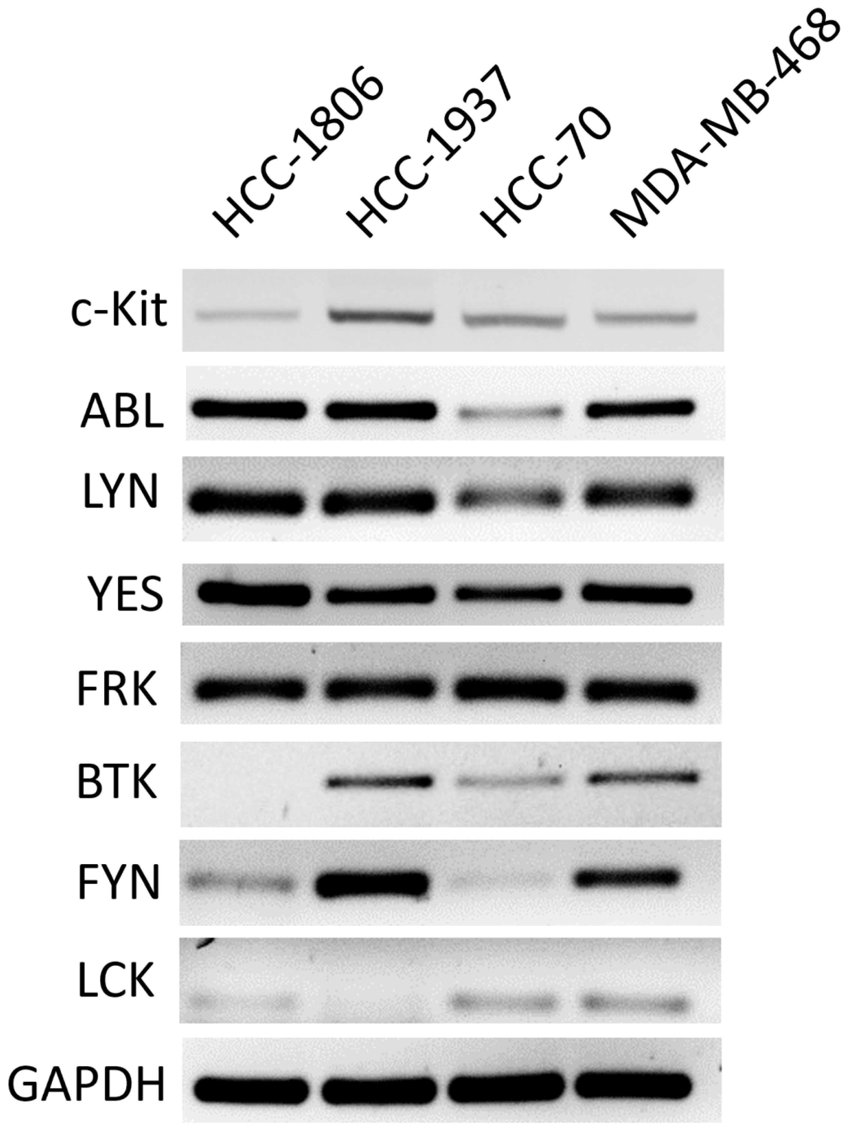 Ijms 23 08702 g005 Ijms 23 08702 g005